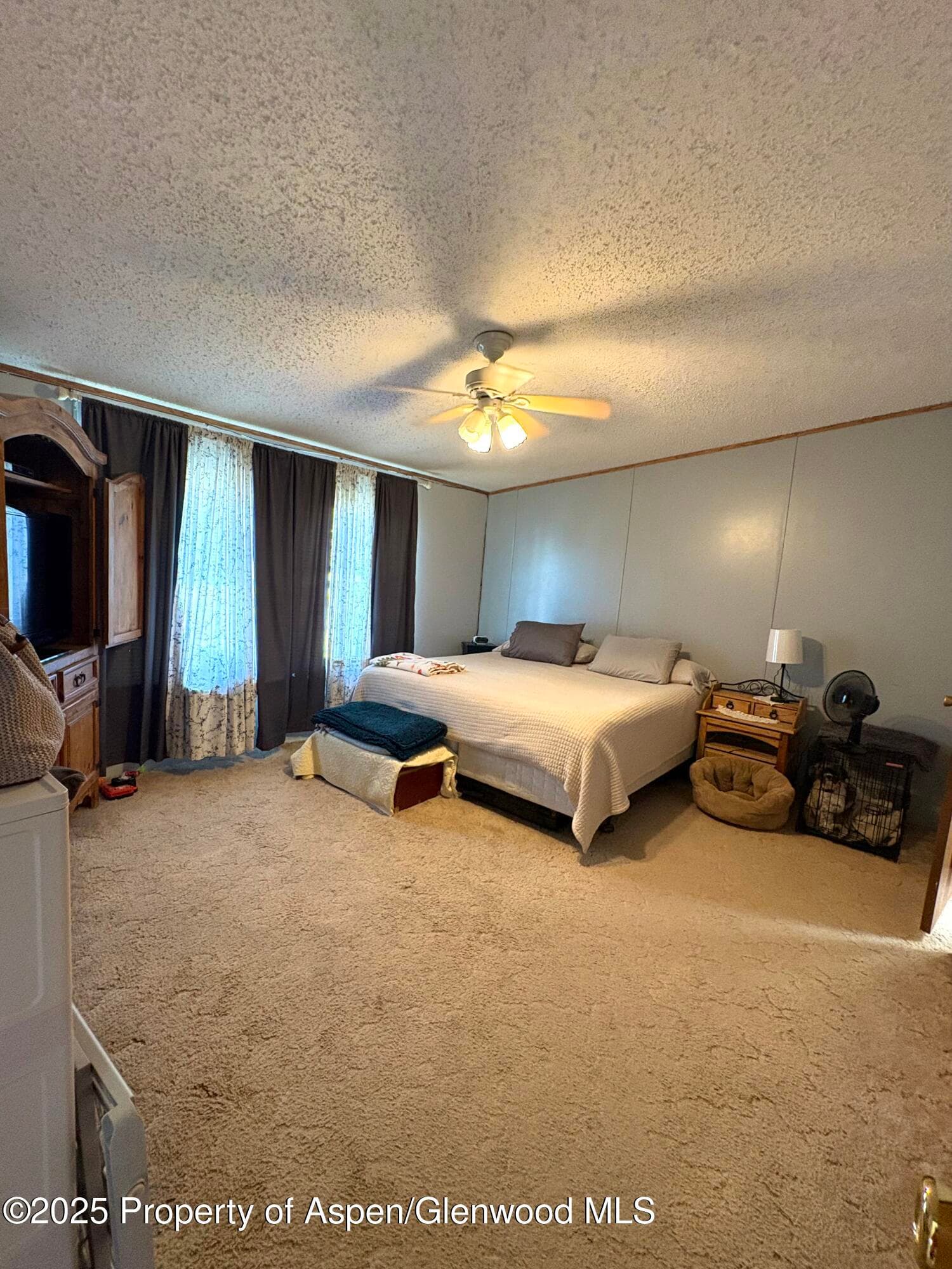 100 Logans Lane, Parachute, CO 81635 - Photo 12