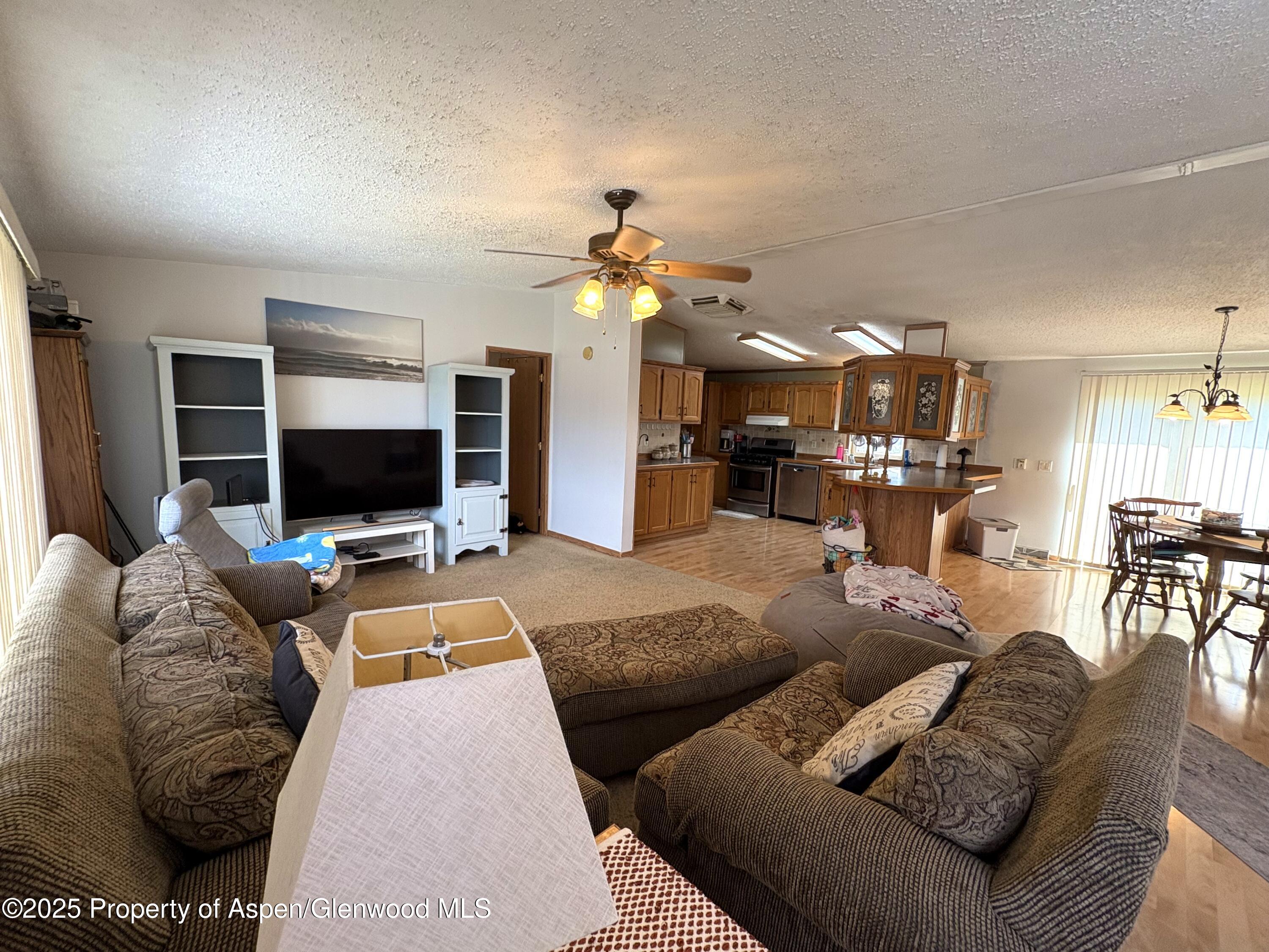 100 Logans Lane, Parachute, CO 81635 - Photo 5