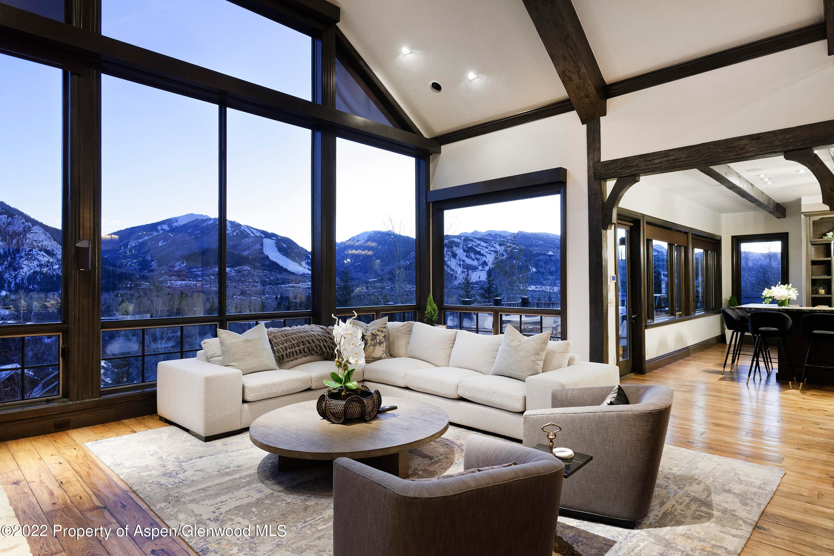 349 Draw Drive, Aspen, CO 81611 - Photo 4