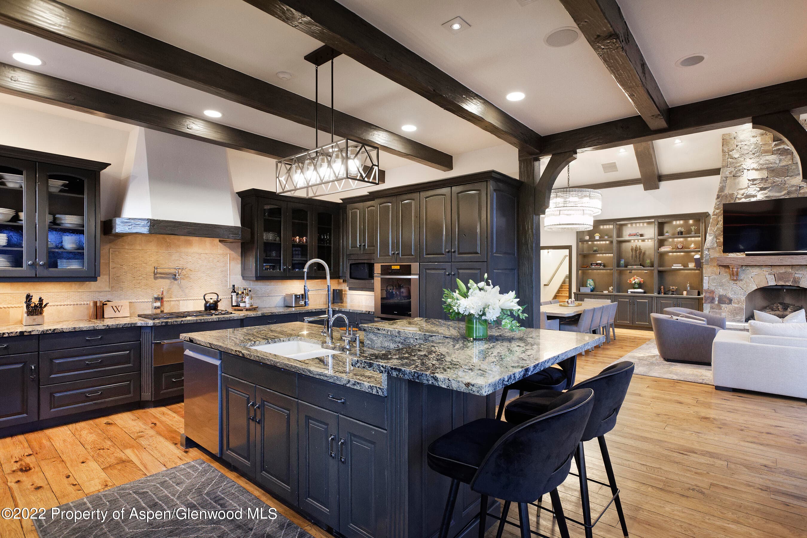 349 Draw Drive, Aspen, CO 81611 - Photo 9