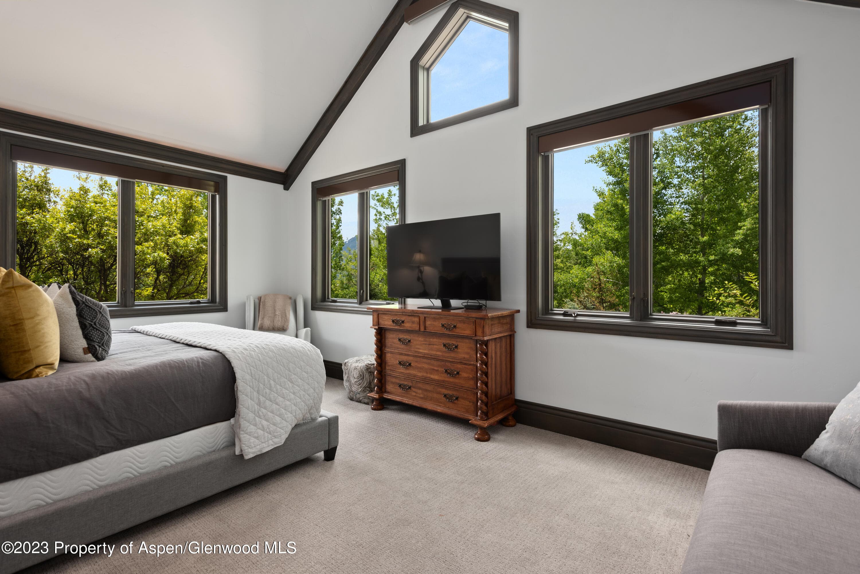 349 Draw Drive, Aspen, CO 81611 - Photo 18