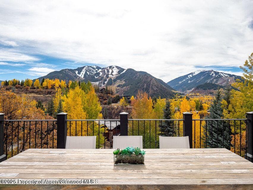 349 Draw Drive, Aspen, CO 81611 - Photo 25