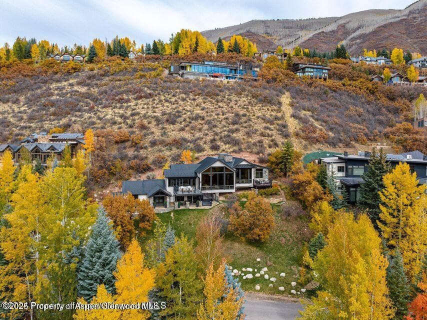 349 Draw Drive, Aspen, CO 81611 - Photo 2