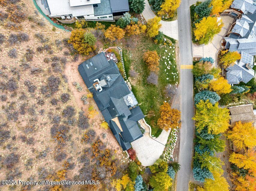 349 Draw Drive, Aspen, CO 81611 - Photo 29