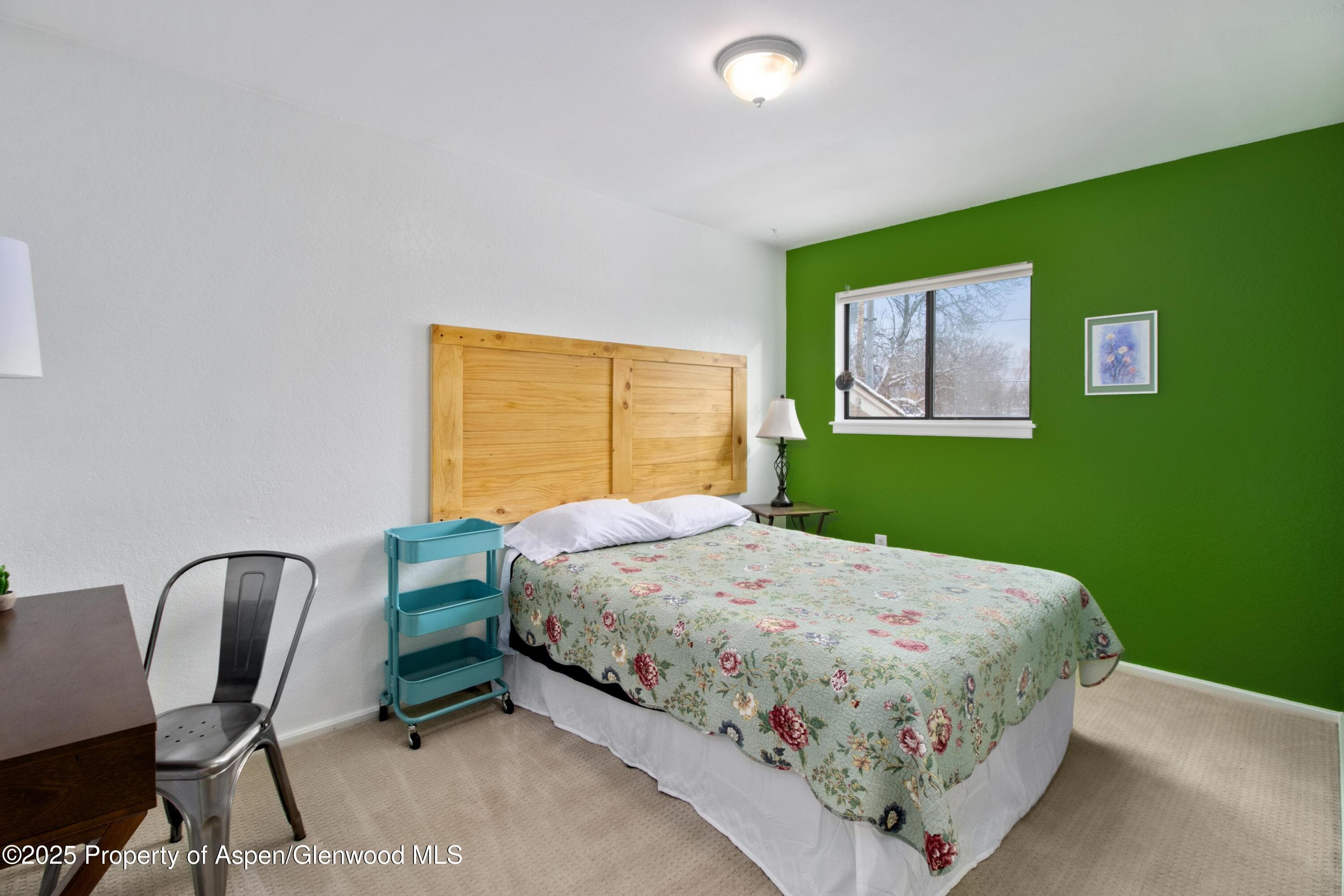 336 Will Avenue, Rifle, CO 81650 - Photo 10