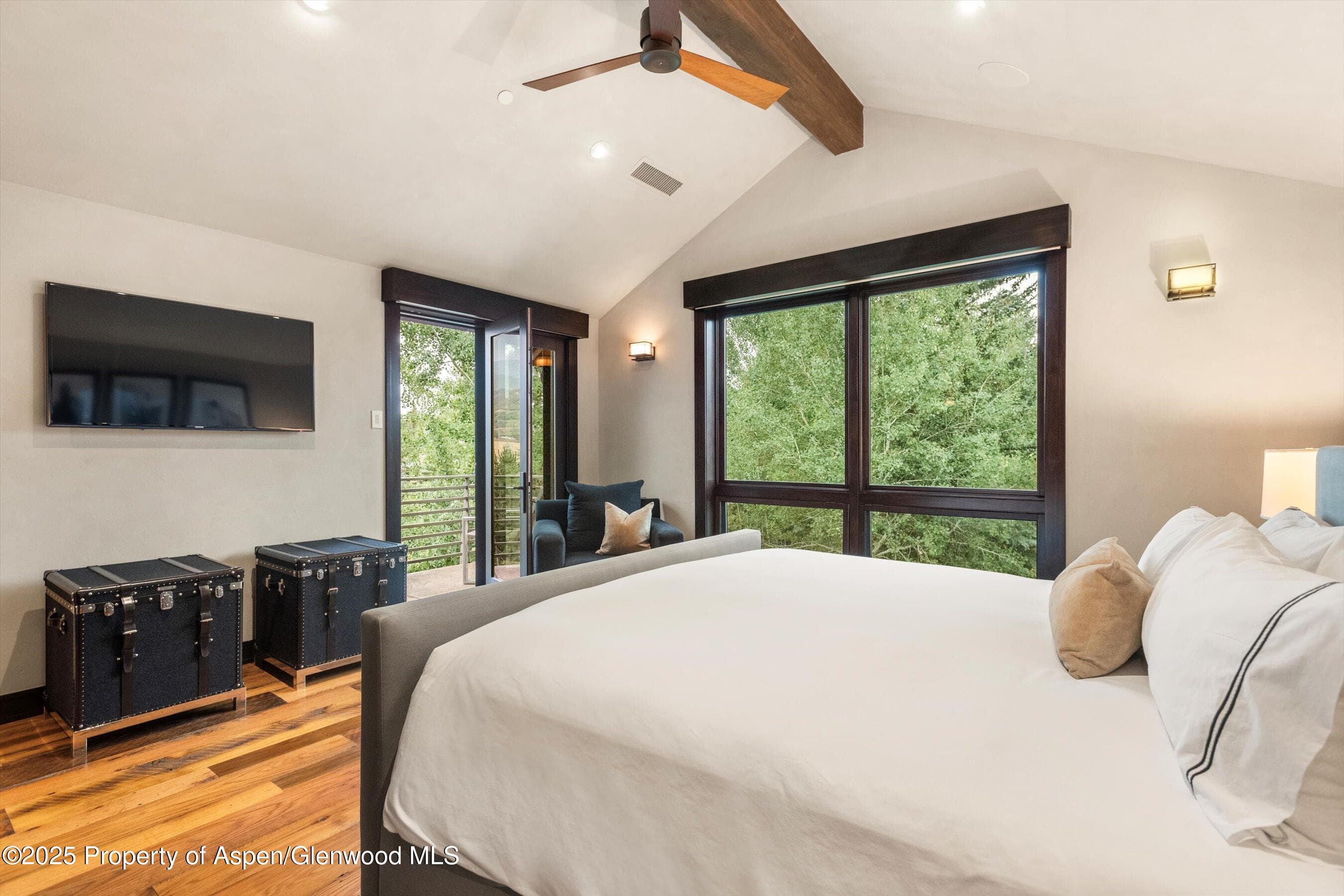 101 Byers Court, Aspen, CO 81611 - Photo 22