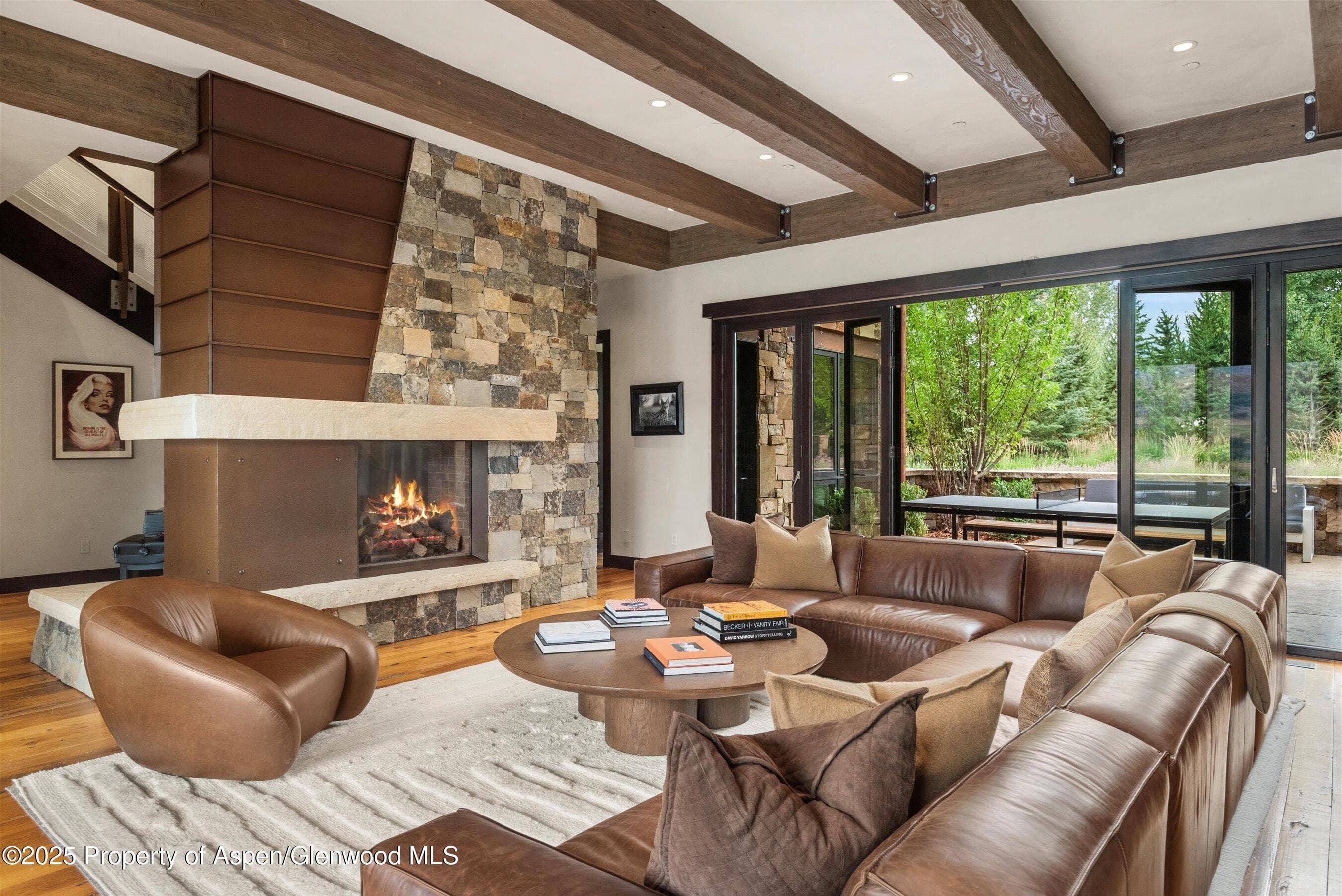 101 Byers Court, Aspen, CO 81611 - Photo 5