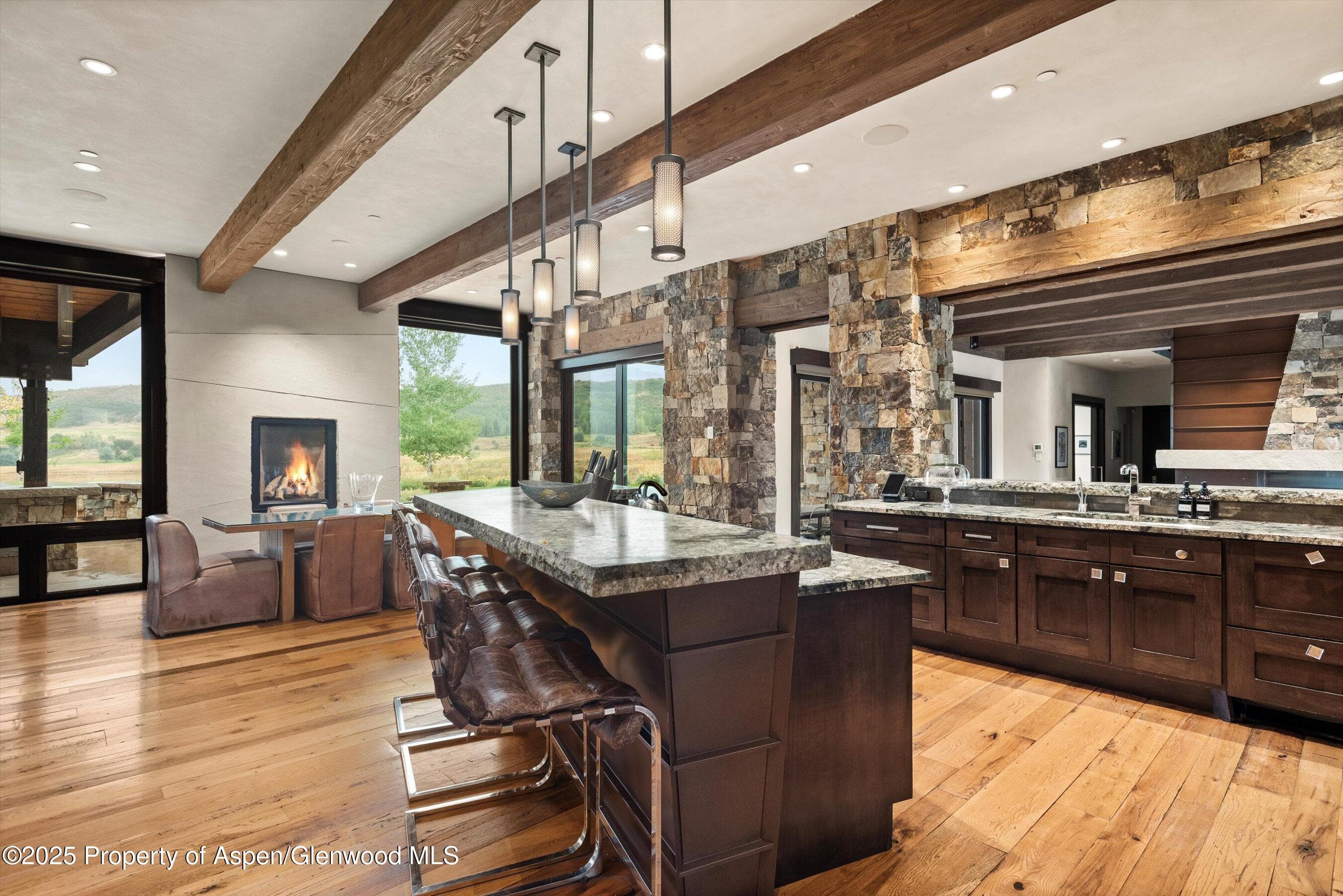 101 Byers Court, Aspen, CO 81611 - Photo 6