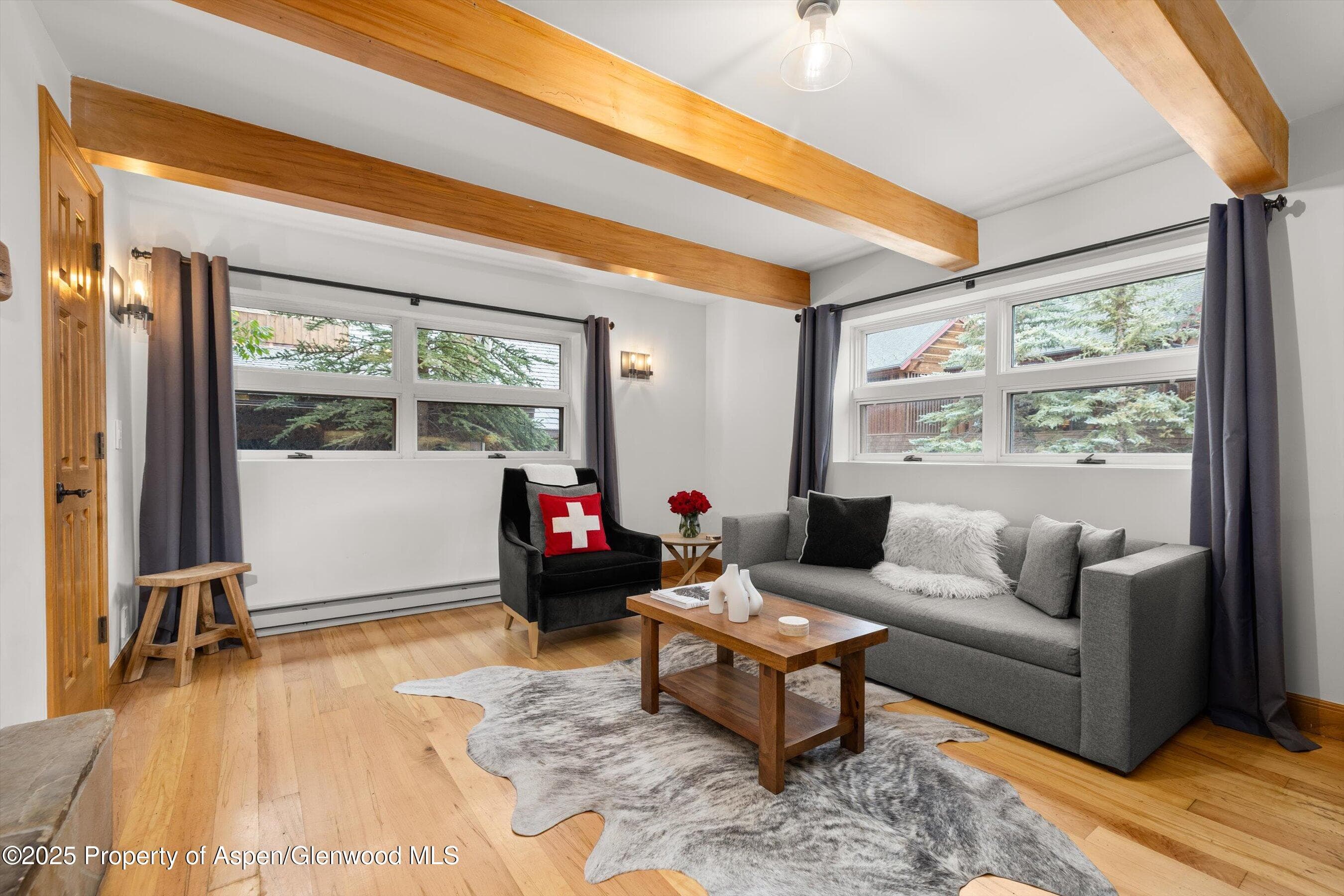 914 Waters Avenue 20, Aspen, CO 81611 - Photo 2