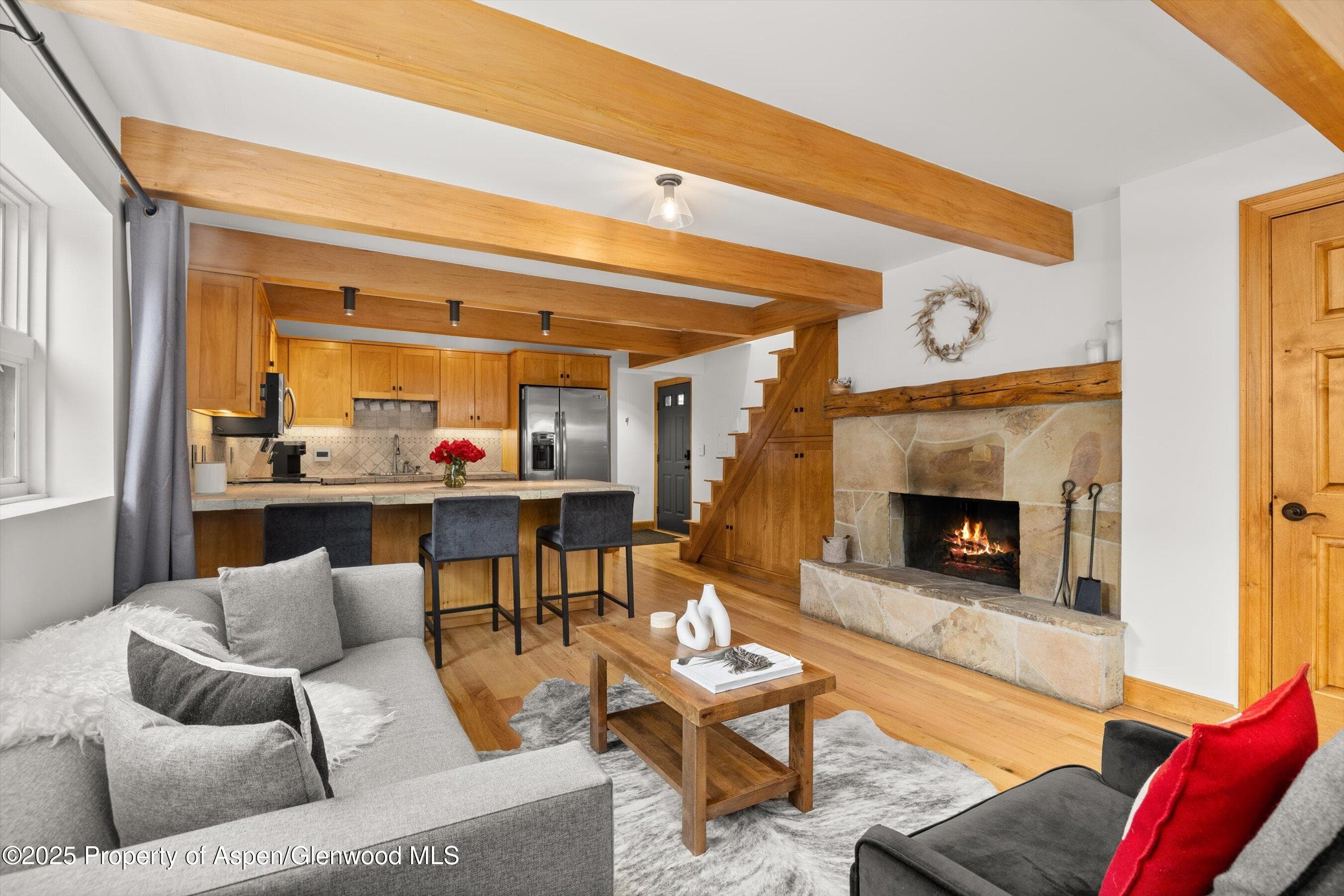 914 Waters Avenue 20, Aspen, CO 81611 - Photo 3