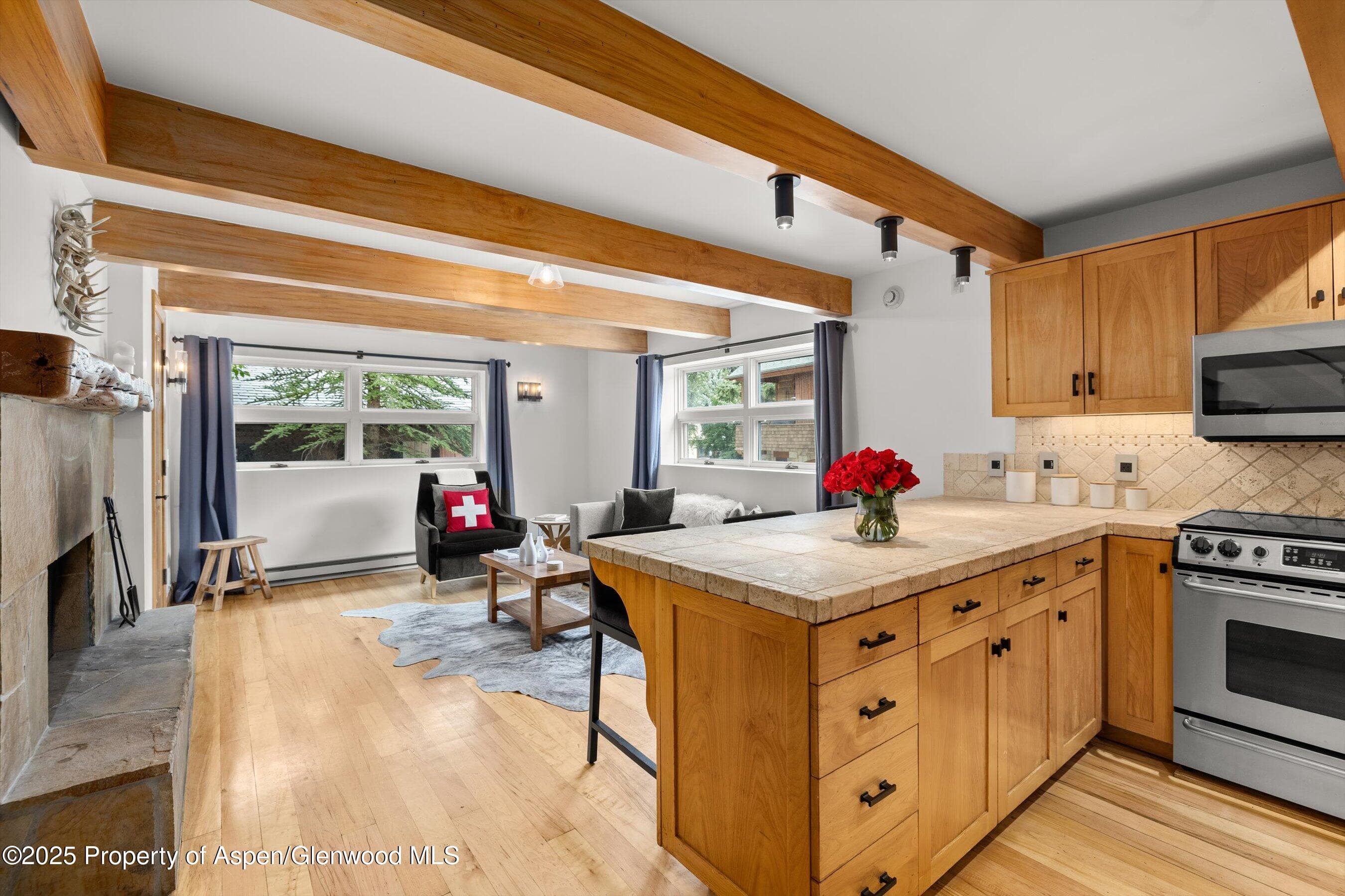 914 Waters Avenue 20, Aspen, CO 81611 - Photo 1