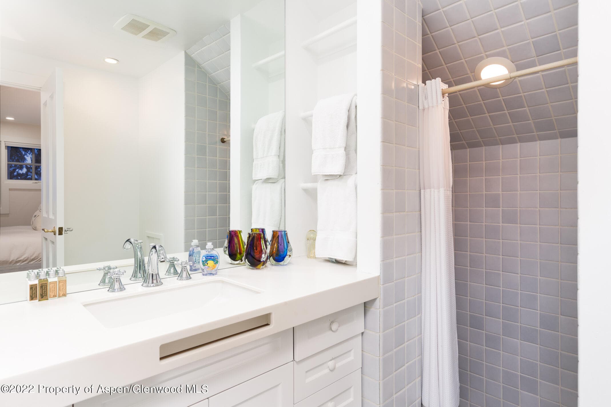 437 W Smuggler Street, Aspen, CO 81611 - Photo 21