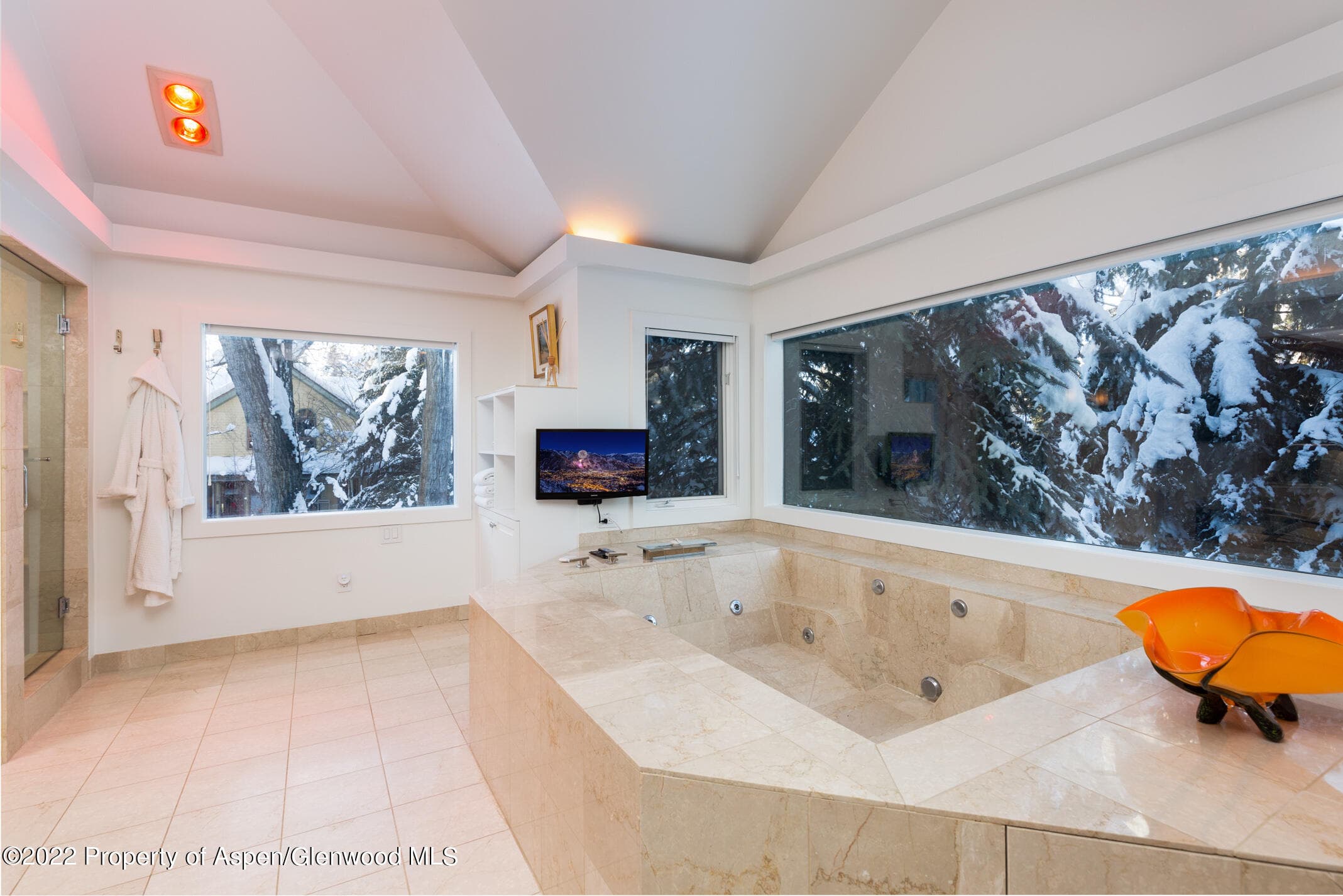 437 W Smuggler Street, Aspen, CO 81611 - Photo 17