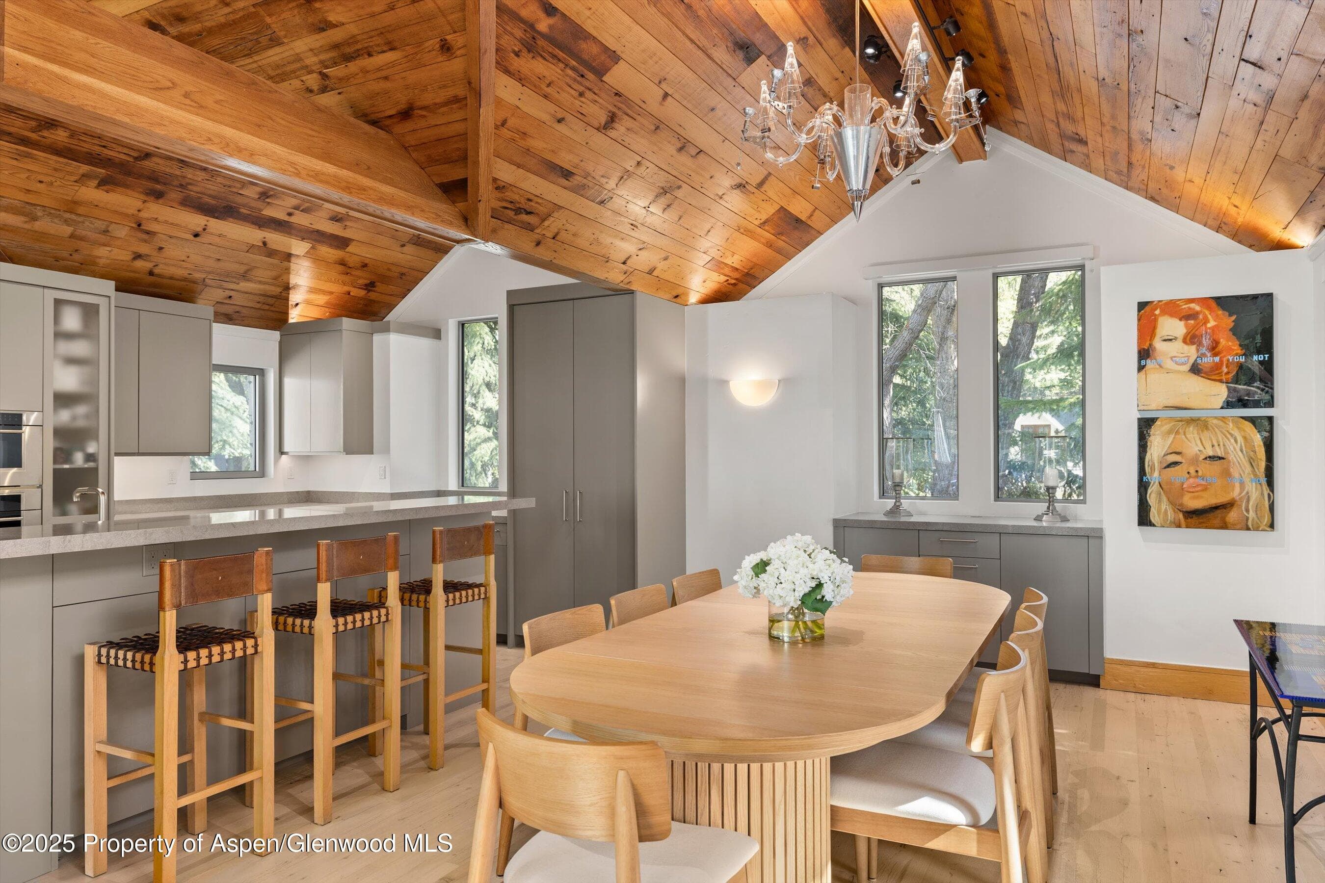 437 W Smuggler Street, Aspen, CO 81611 - Photo 6