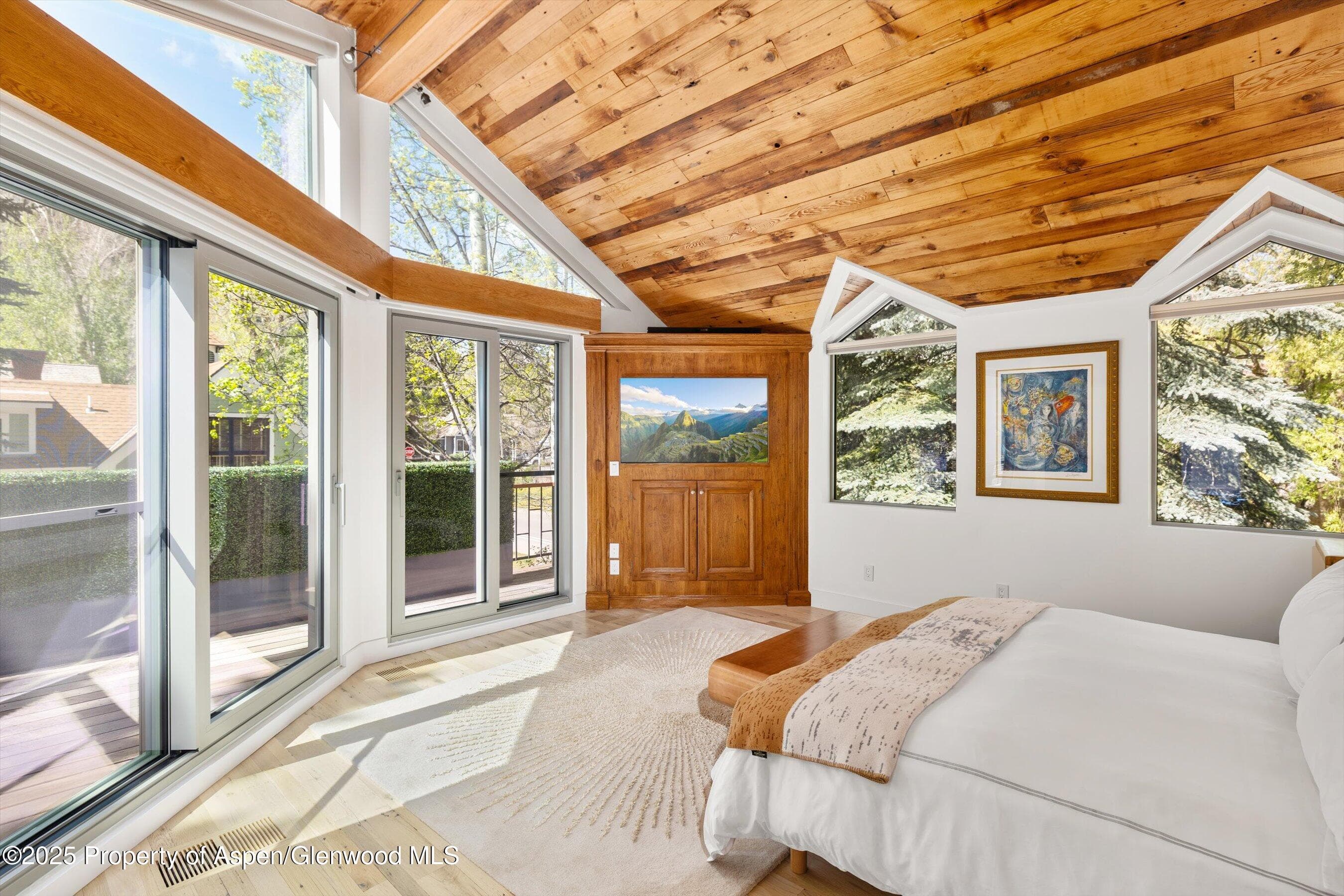 437 W Smuggler Street, Aspen, CO 81611 - Photo 13