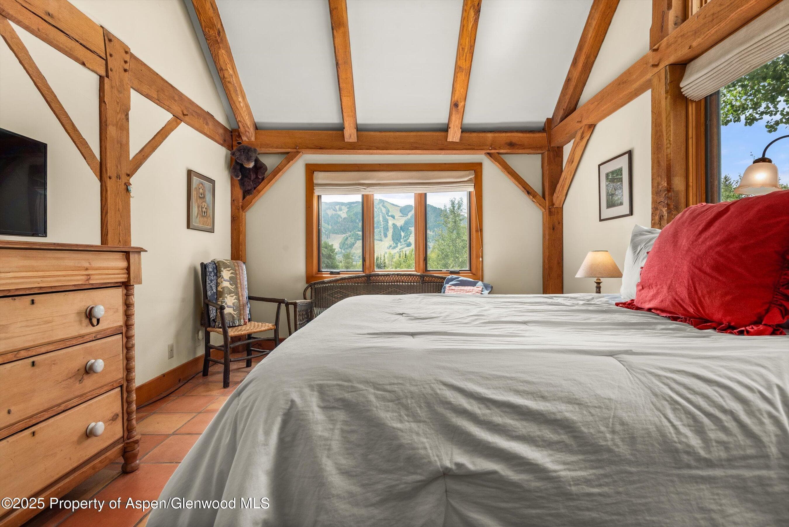 927 Red Mountain Road, Aspen, CO 81611 - Photo 18