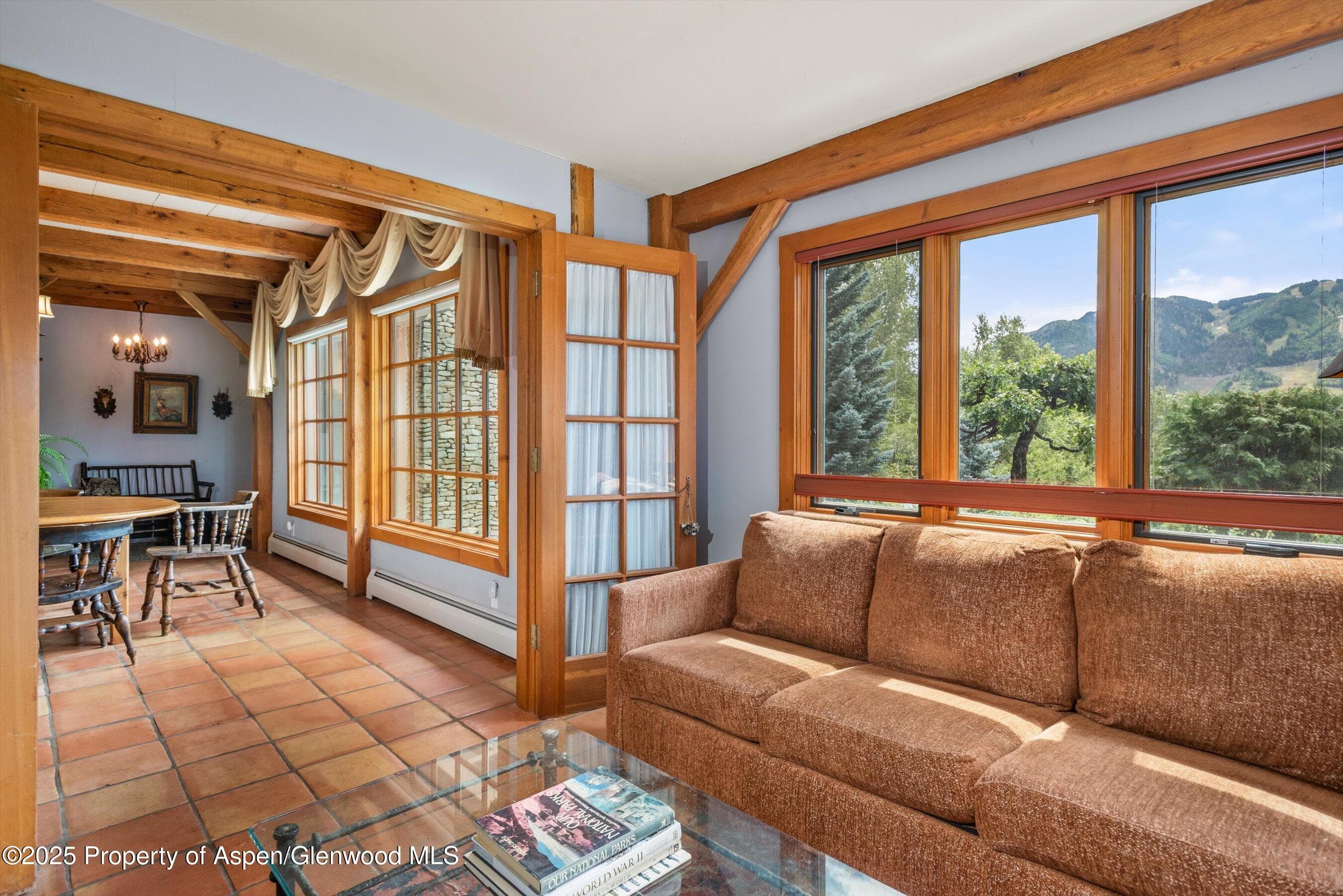 927 Red Mountain Road, Aspen, CO 81611 - Photo 13