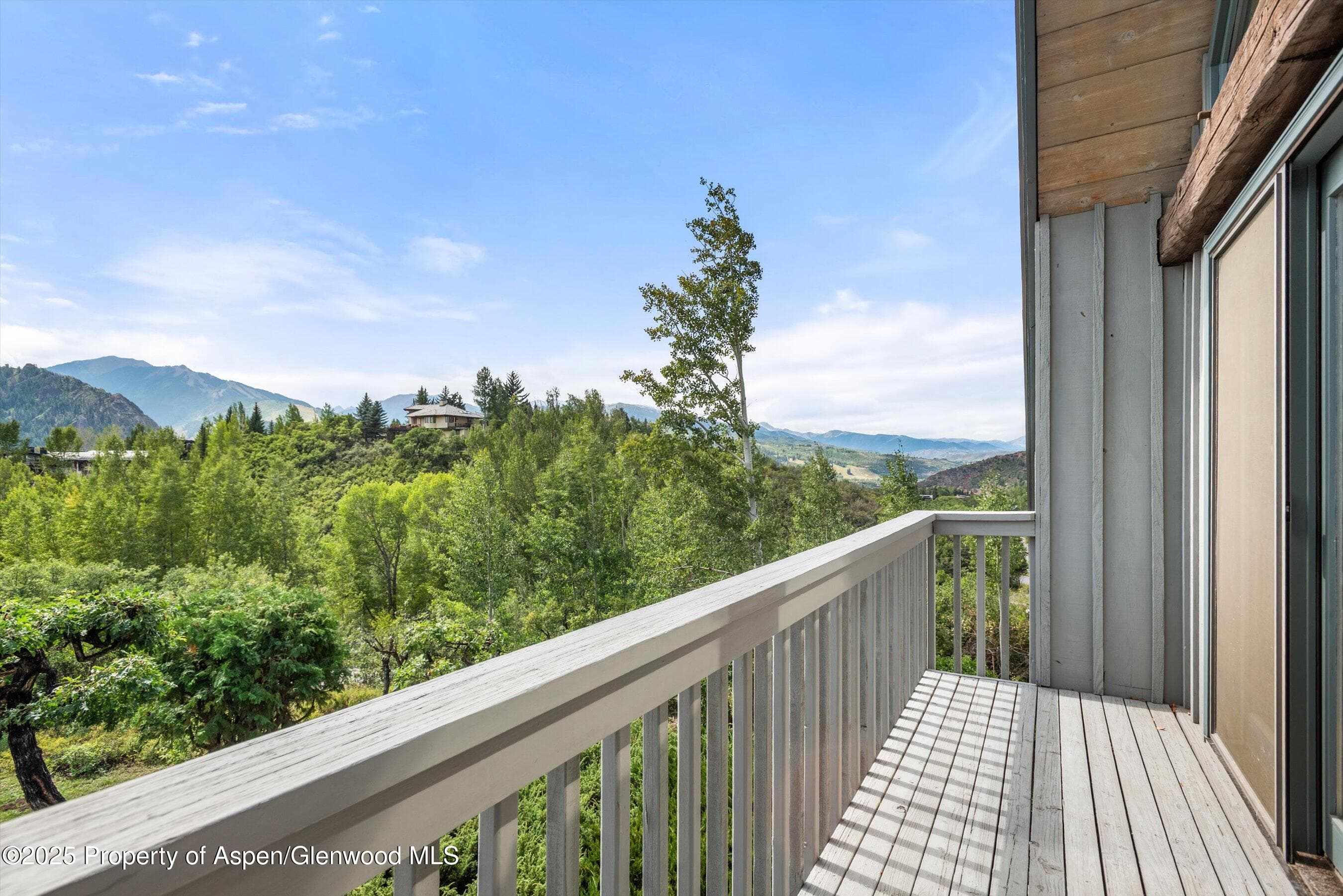 927 Red Mountain Road, Aspen, CO 81611 - Photo 28