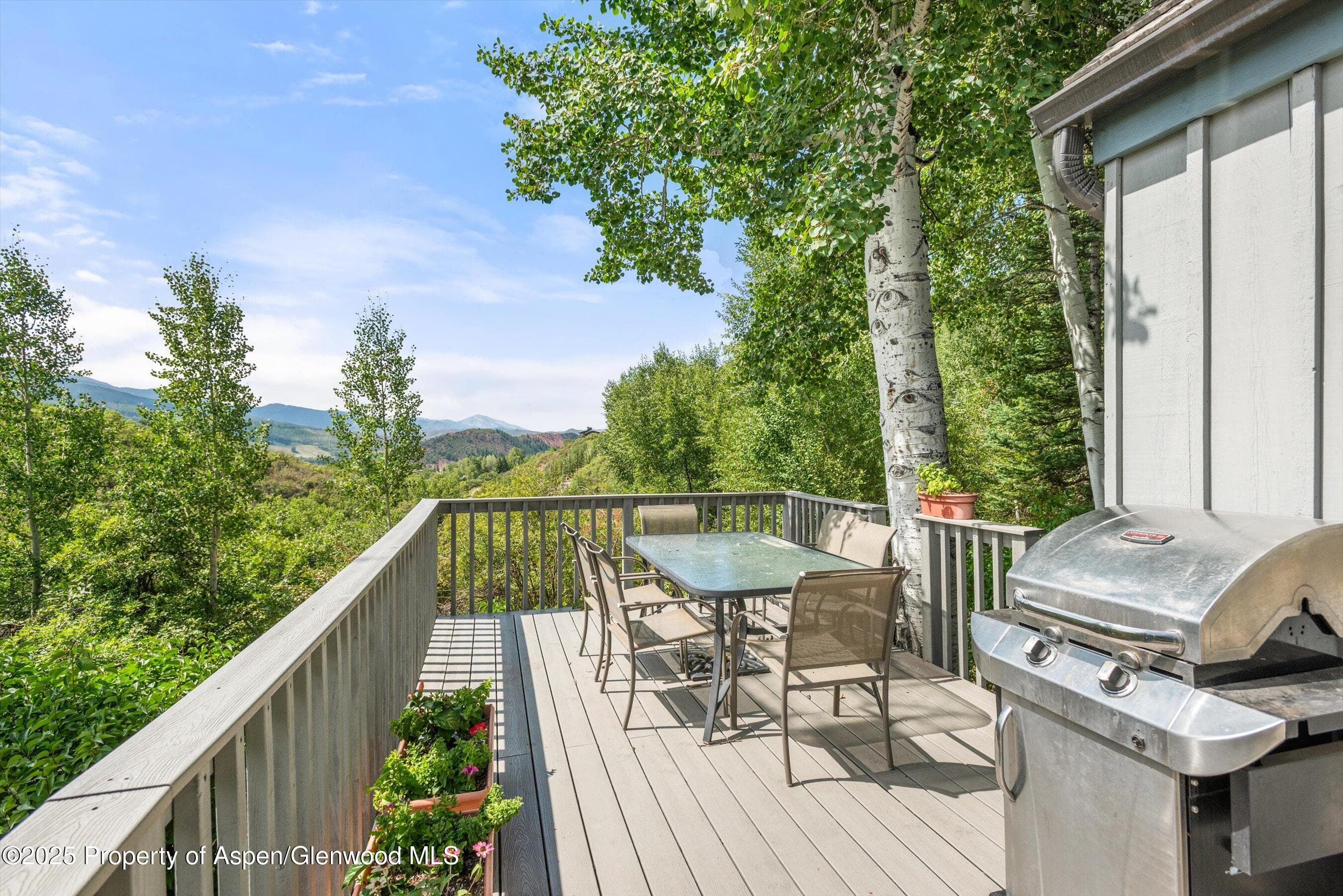 927 Red Mountain Road, Aspen, CO 81611 - Photo 34