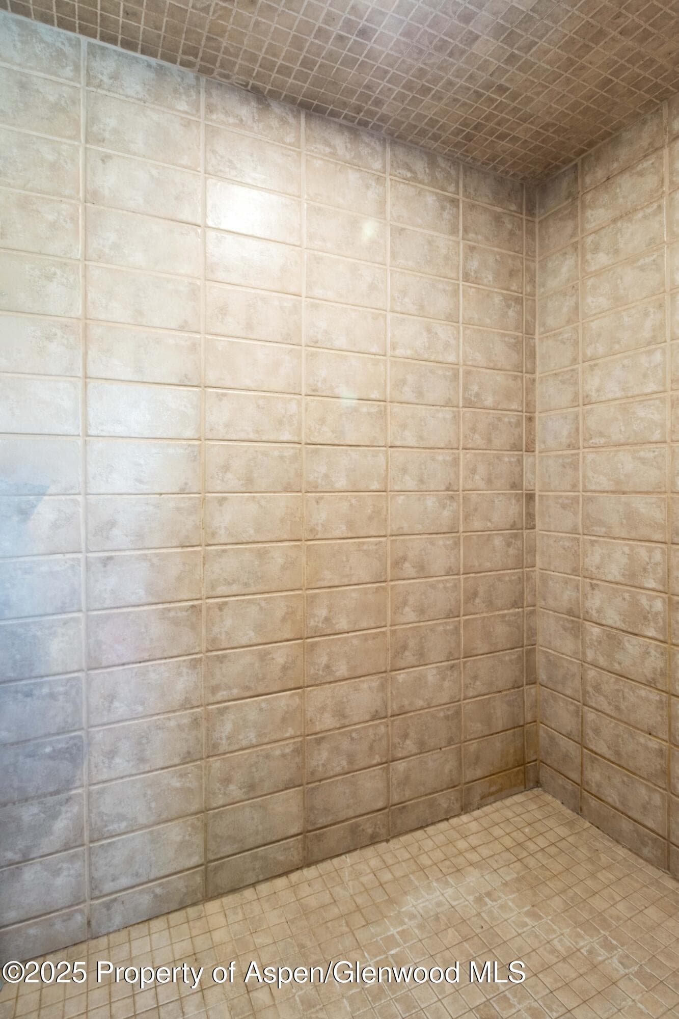 228 Midland Point Road, Carbondale, CO 81623 - Photo 23
