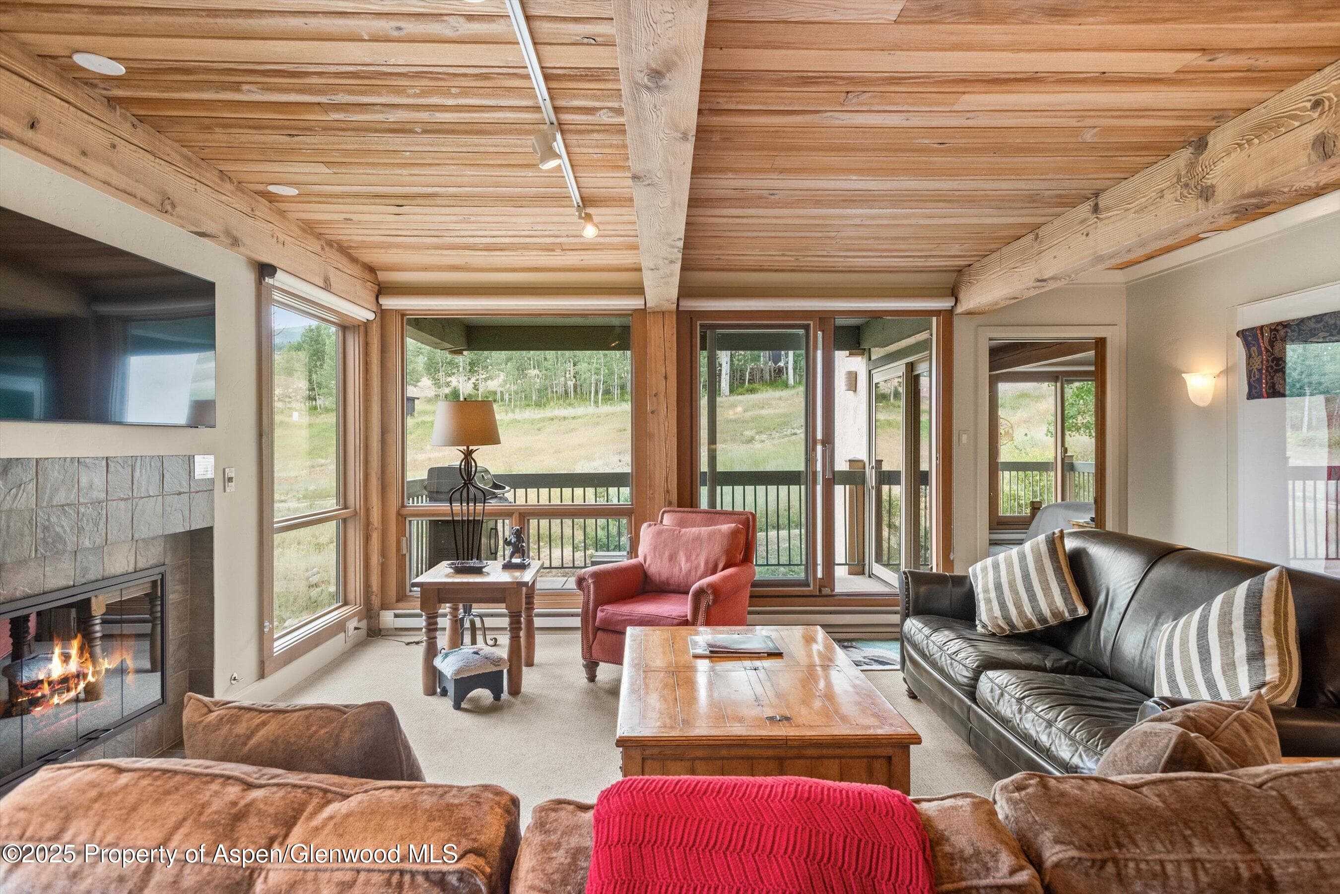 855 Carriage Way Summit 203, Snowmass Village, CO 81615 - Photo 2