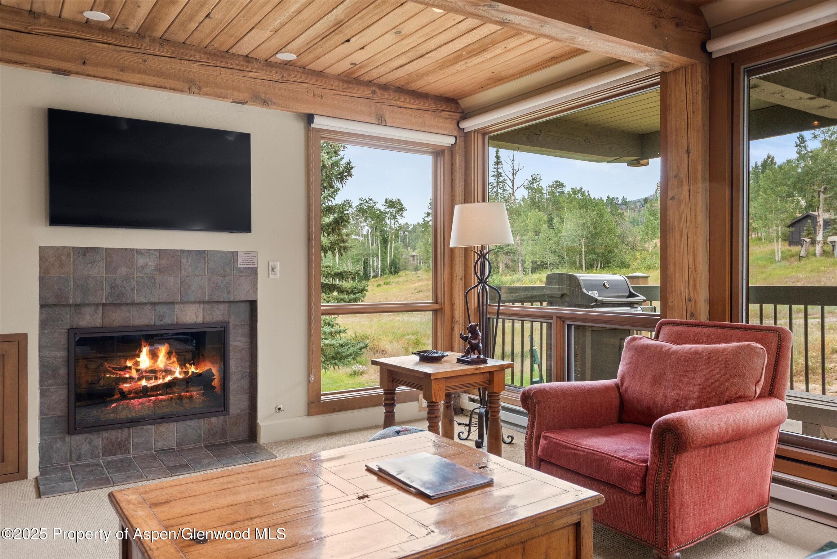 855 Carriage Way Summit 203, Snowmass Village, CO 81615 - Photo 3
