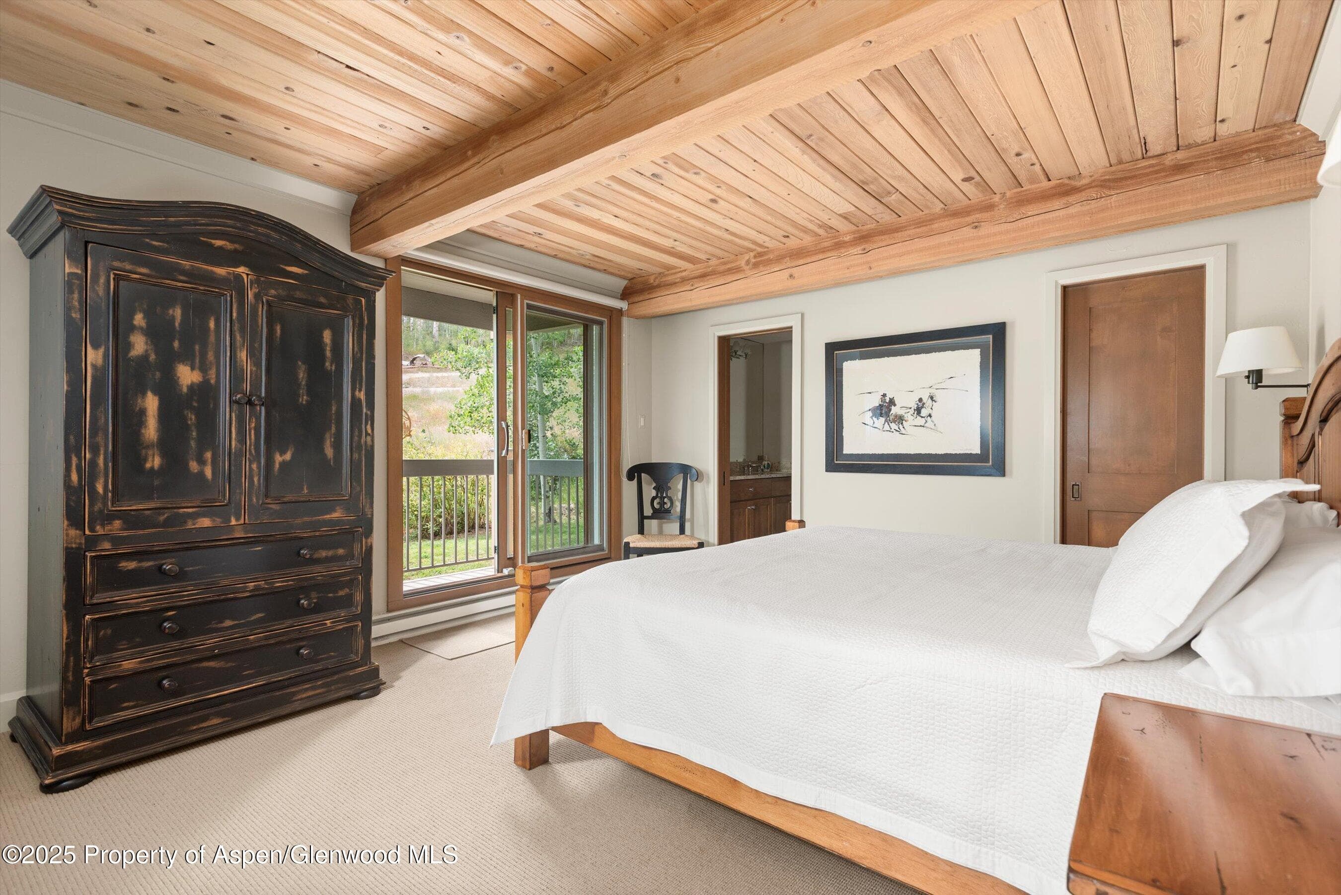 855 Carriage Way Summit 203, Snowmass Village, CO 81615 - Photo 8
