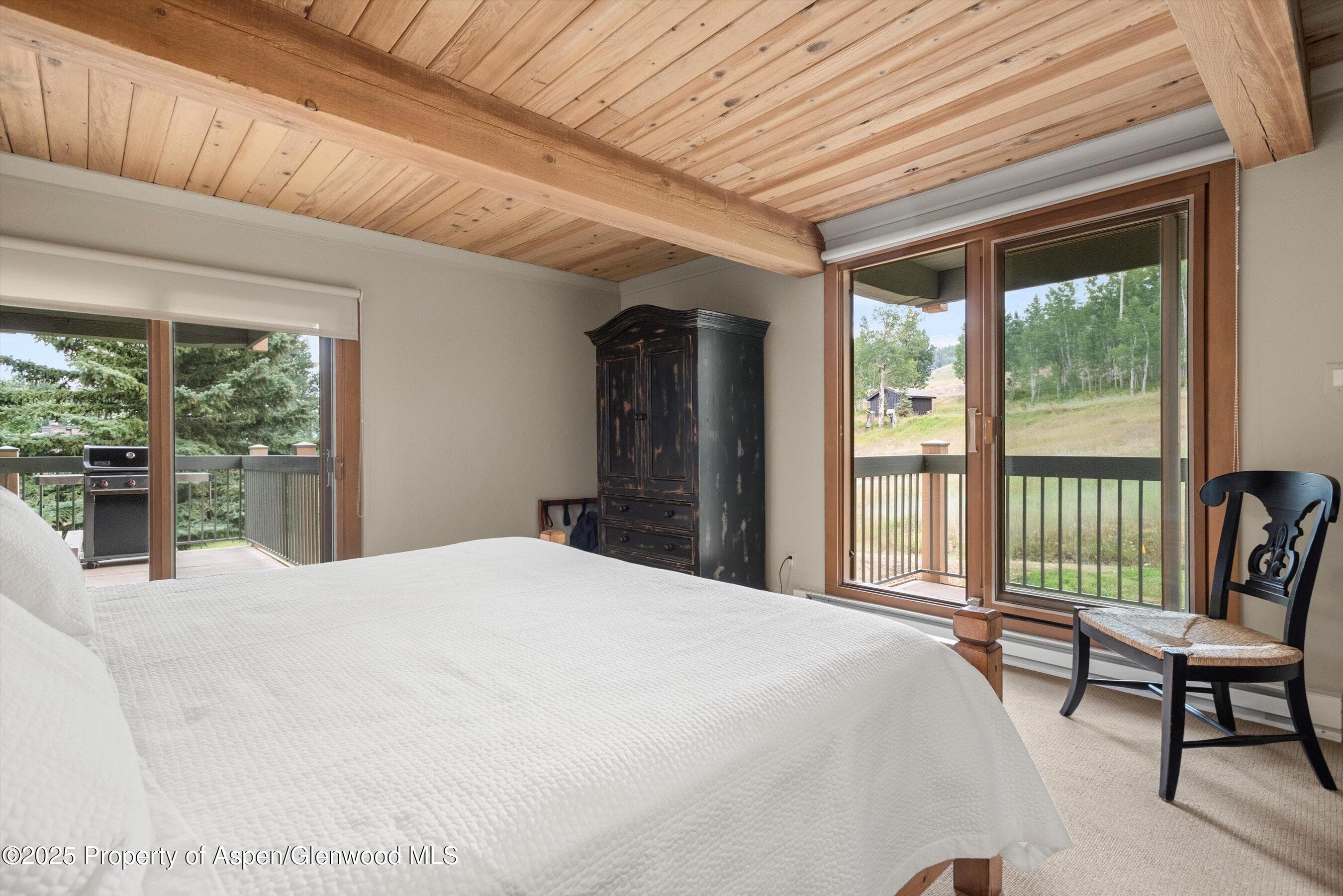 855 Carriage Way Summit 203, Snowmass Village, CO 81615 - Photo 9