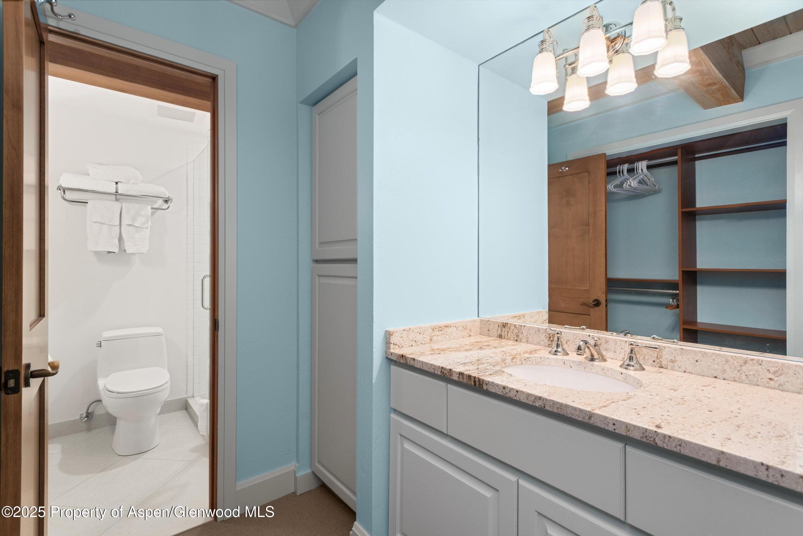 855 Carriage Way Summit 203, Snowmass Village, CO 81615 - Photo 14