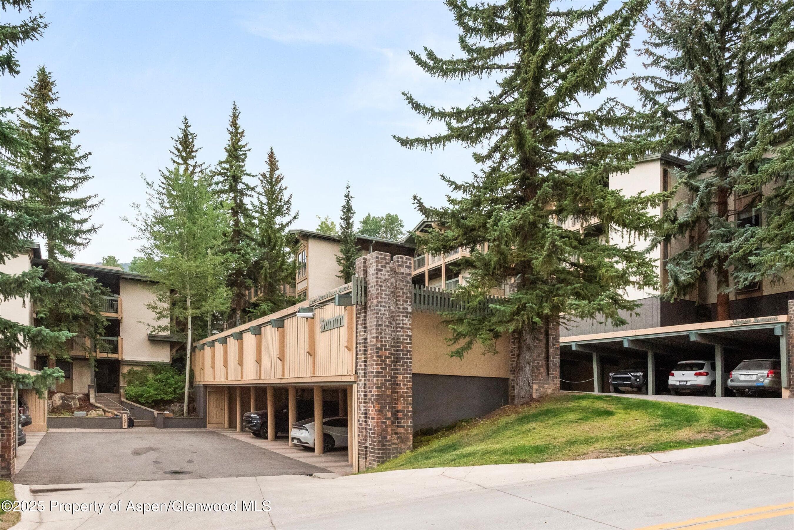 855 Carriage Way Summit 203, Snowmass Village, CO 81615 - Photo 21