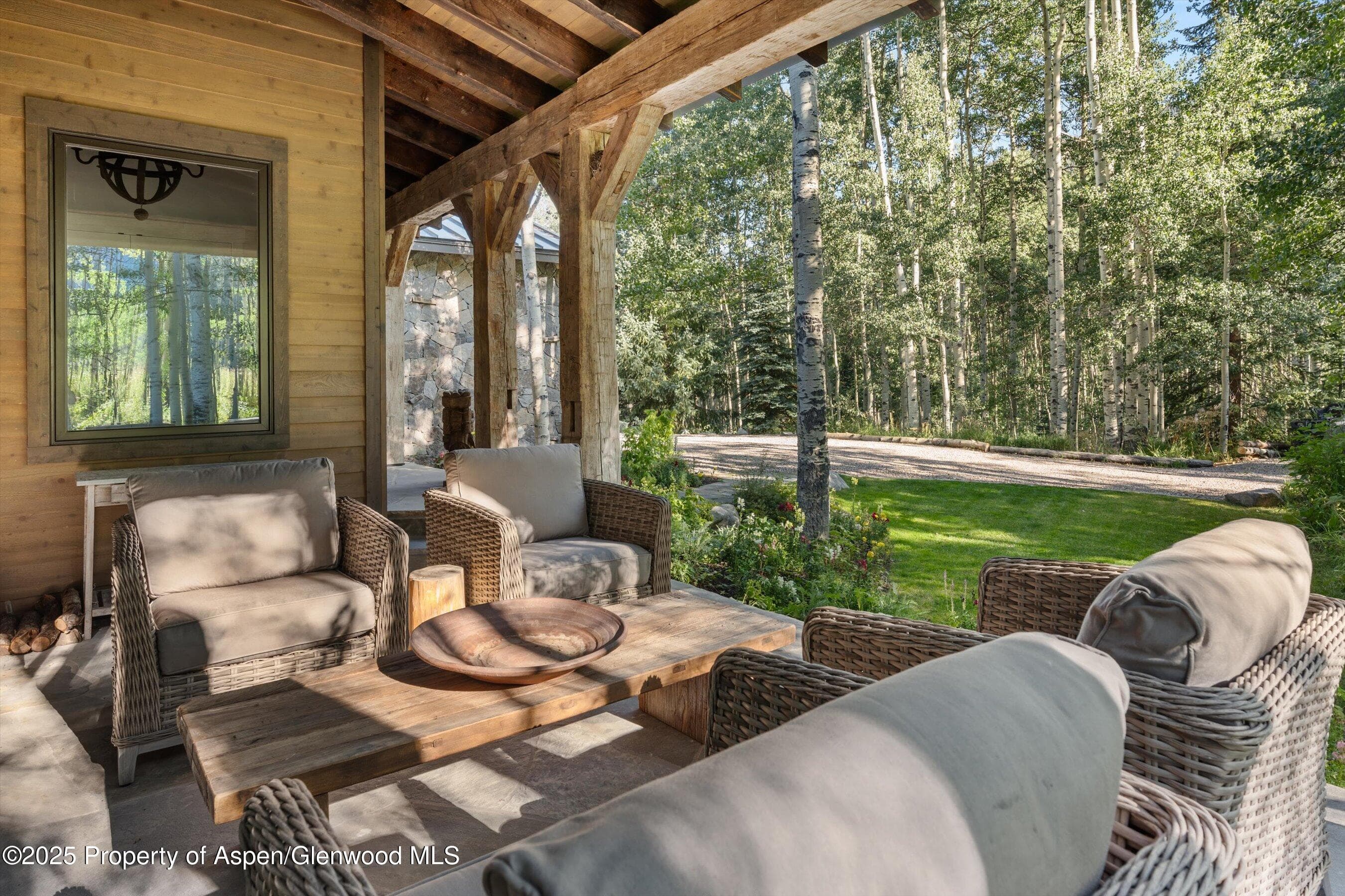 9555 Castle Creek Road, Aspen, CO 81611 - Photo 9