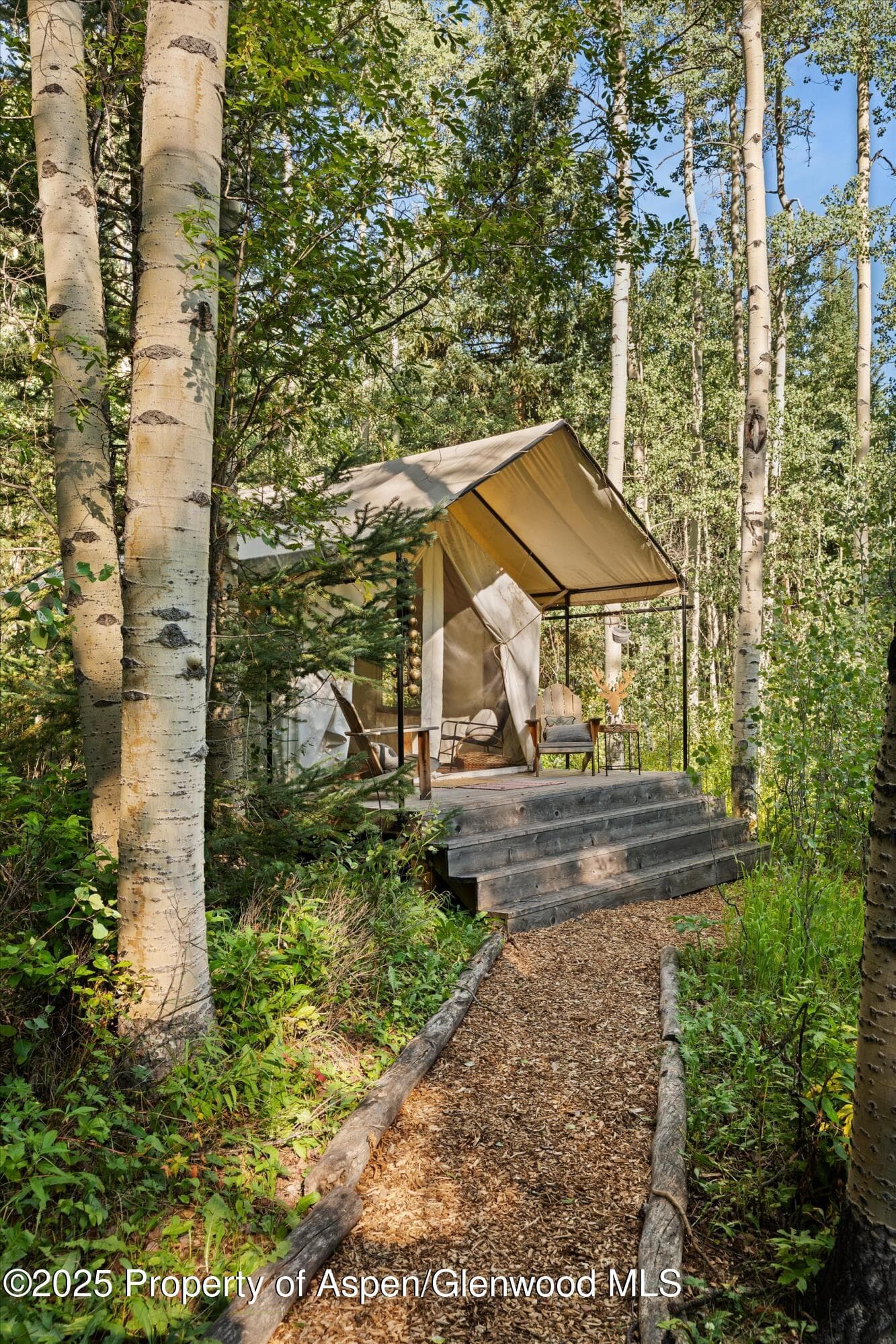 9555 Castle Creek Road, Aspen, CO 81611 - Photo 34