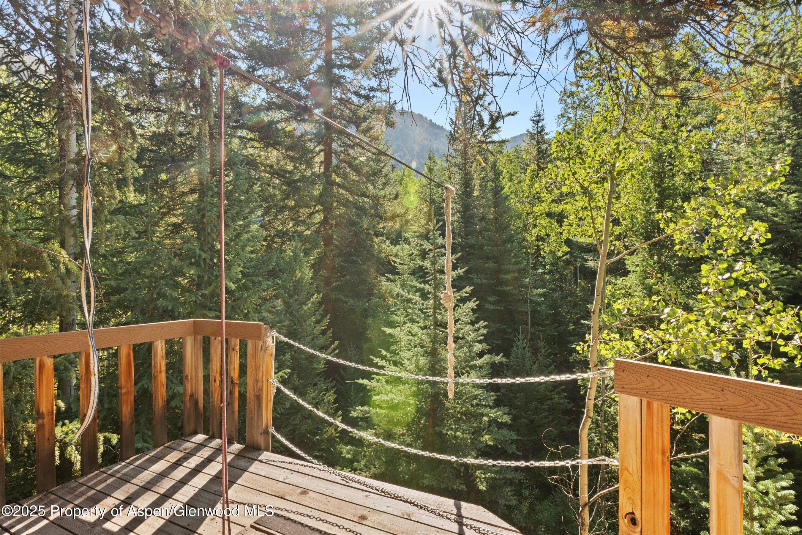 9555 Castle Creek Road, Aspen, CO 81611 - Photo 39
