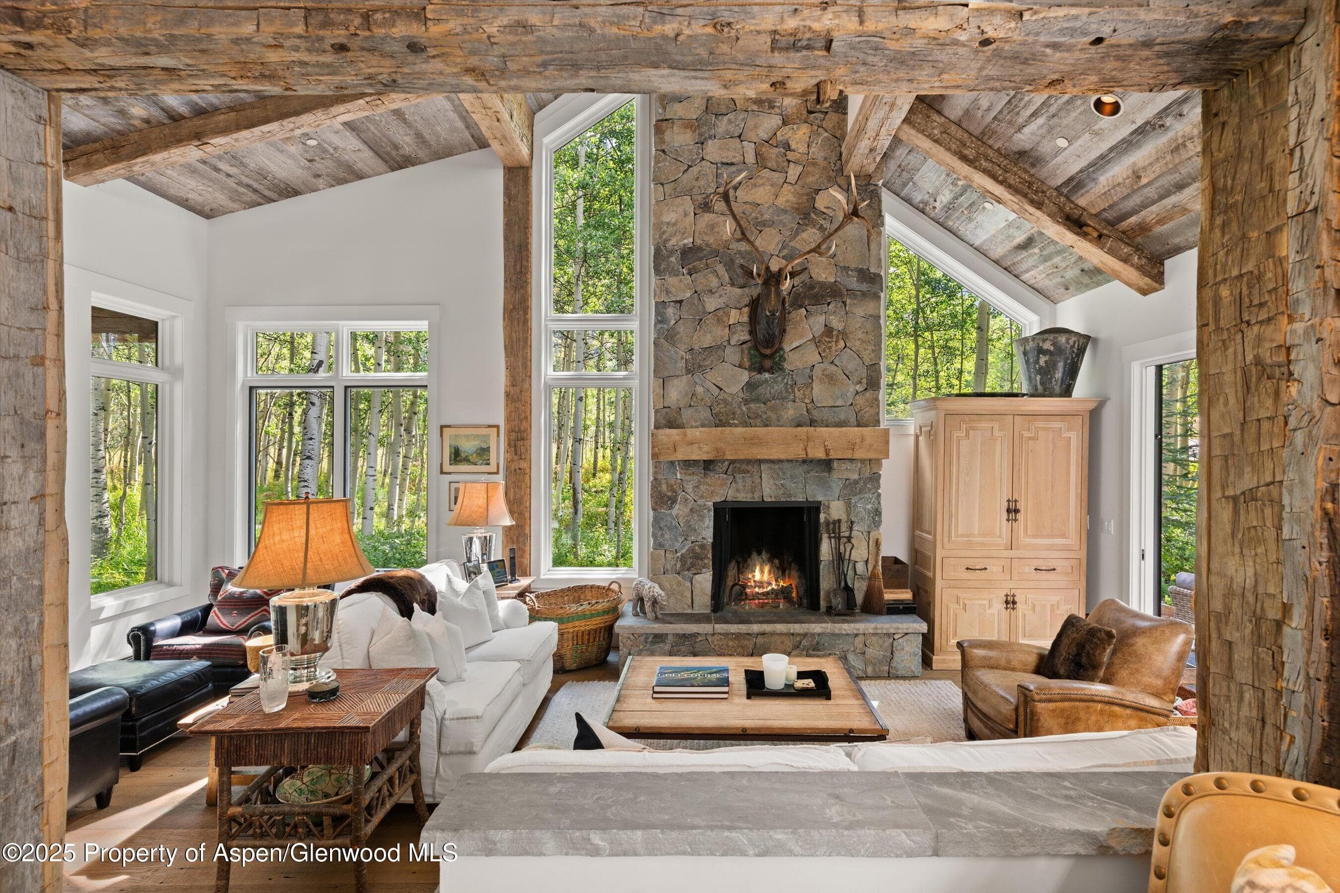 9555 Castle Creek Road, Aspen, CO 81611 - Photo 7