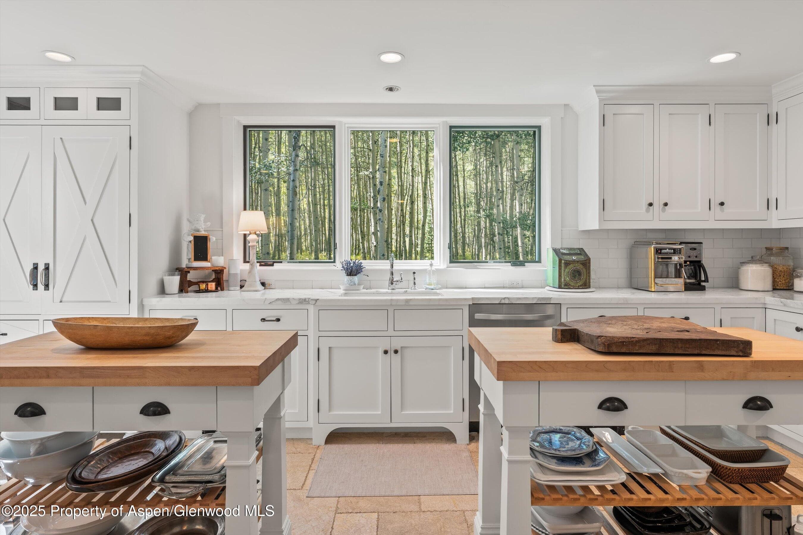 9555 Castle Creek Road, Aspen, CO 81611 - Photo 11