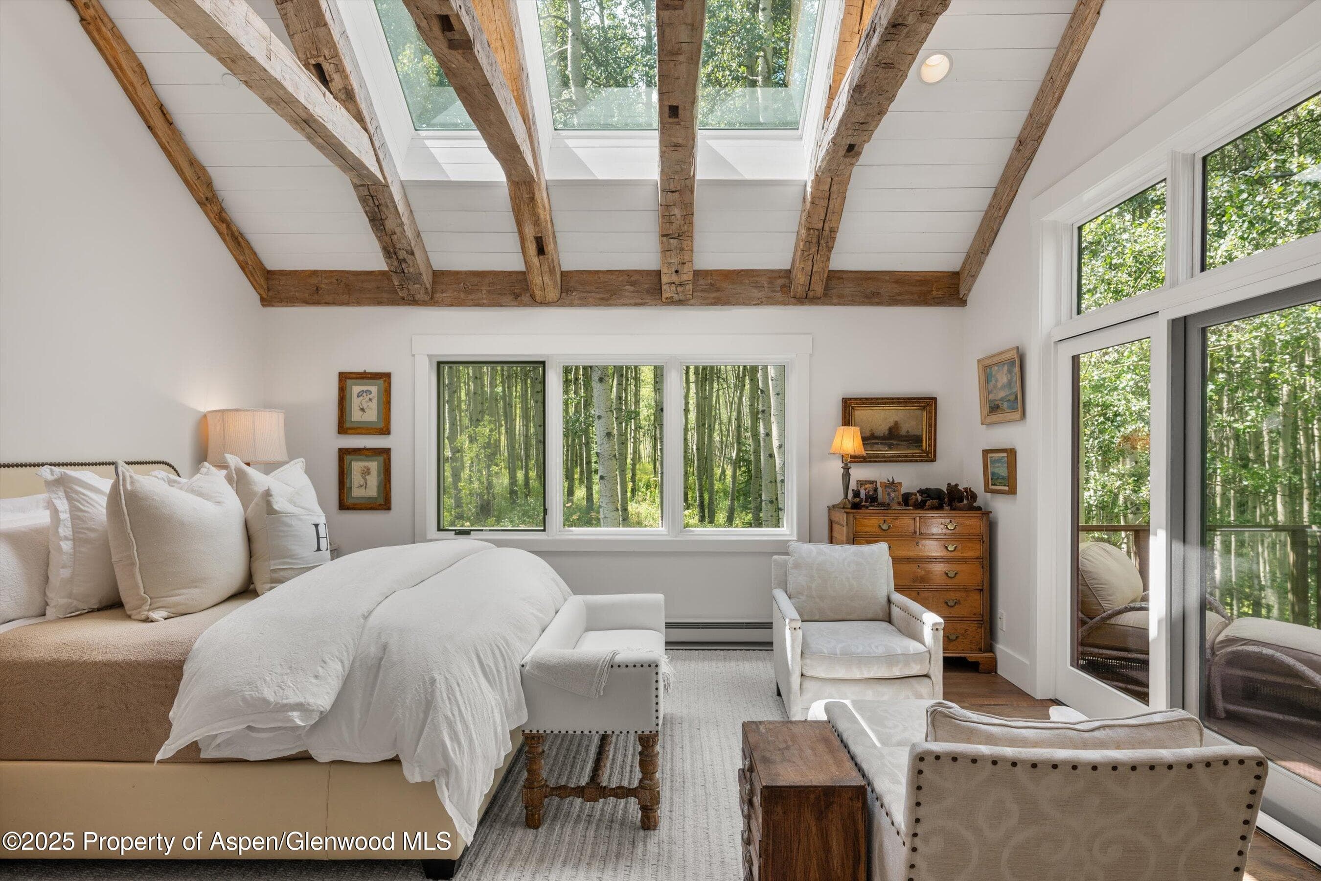 9555 Castle Creek Road, Aspen, CO 81611 - Photo 14