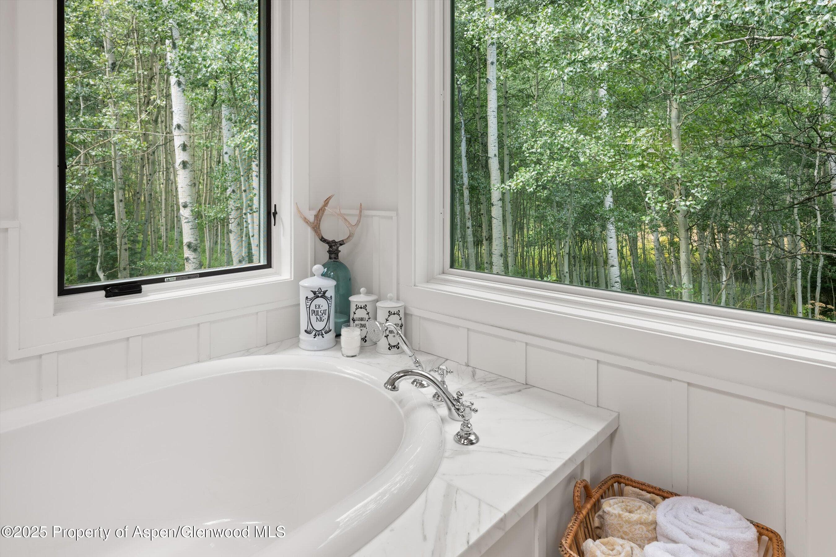 9555 Castle Creek Road, Aspen, CO 81611 - Photo 18