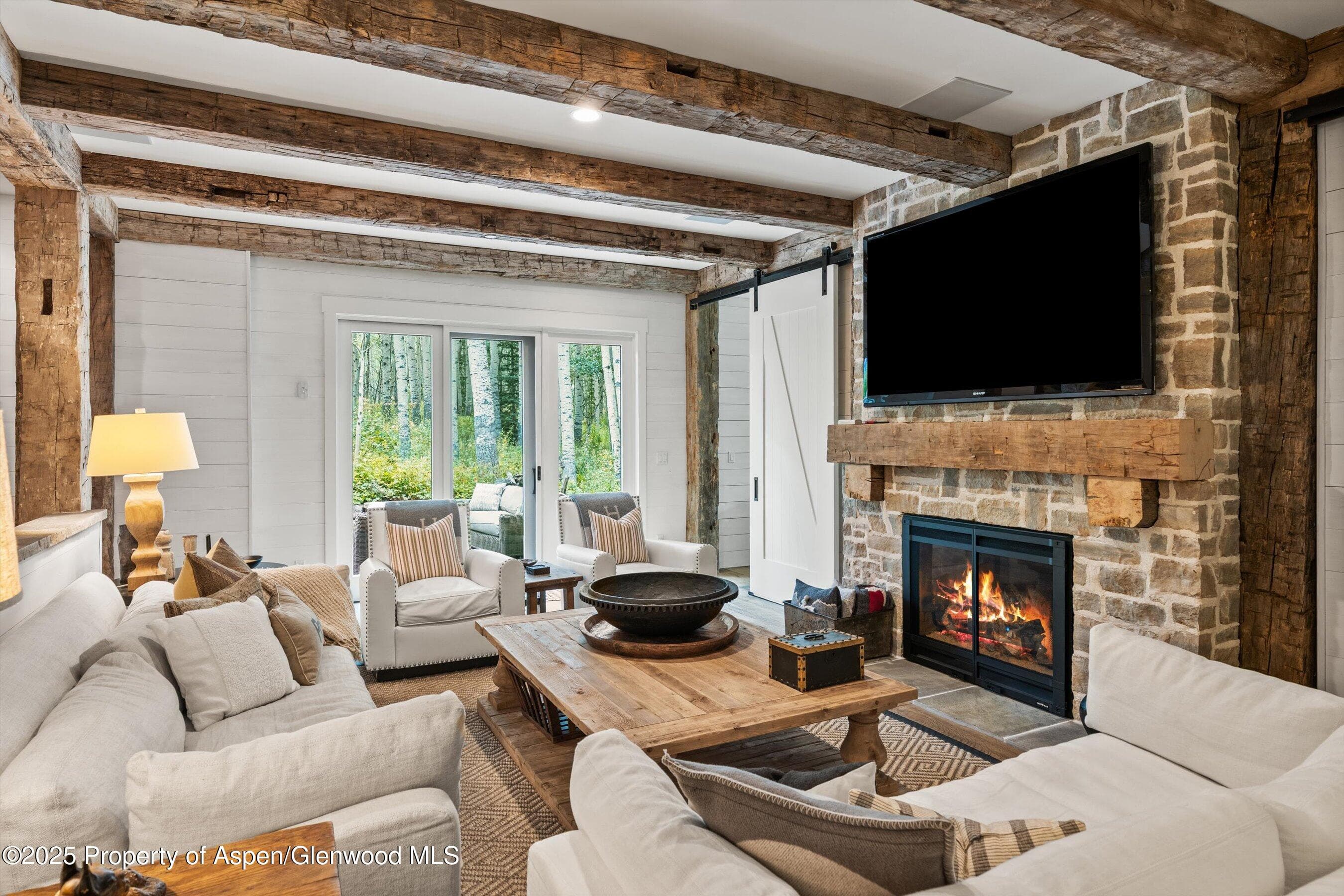 9555 Castle Creek Road, Aspen, CO 81611 - Photo 21