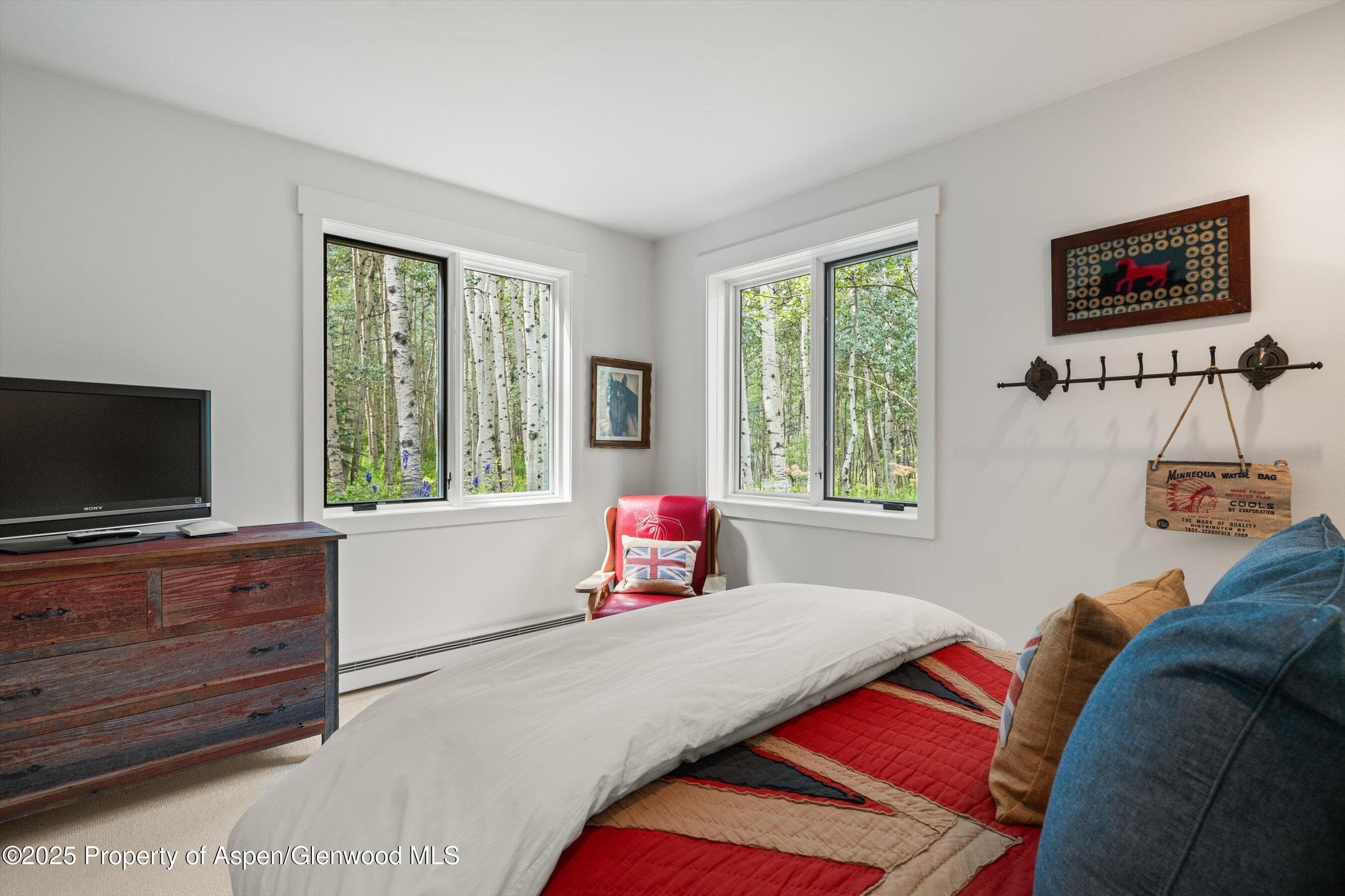 9555 Castle Creek Road, Aspen, CO 81611 - Photo 25