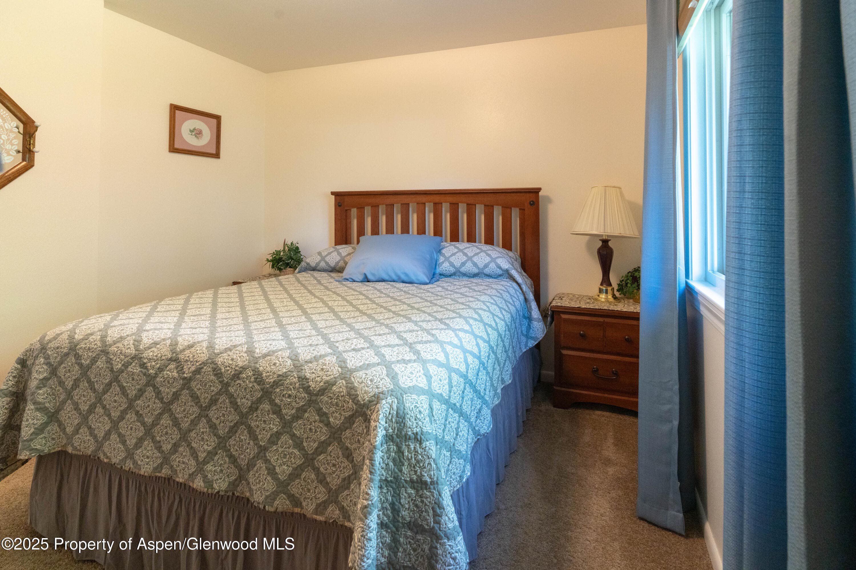 388 Mel Rey Road, Glenwood Springs, CO 81601 - Photo 20