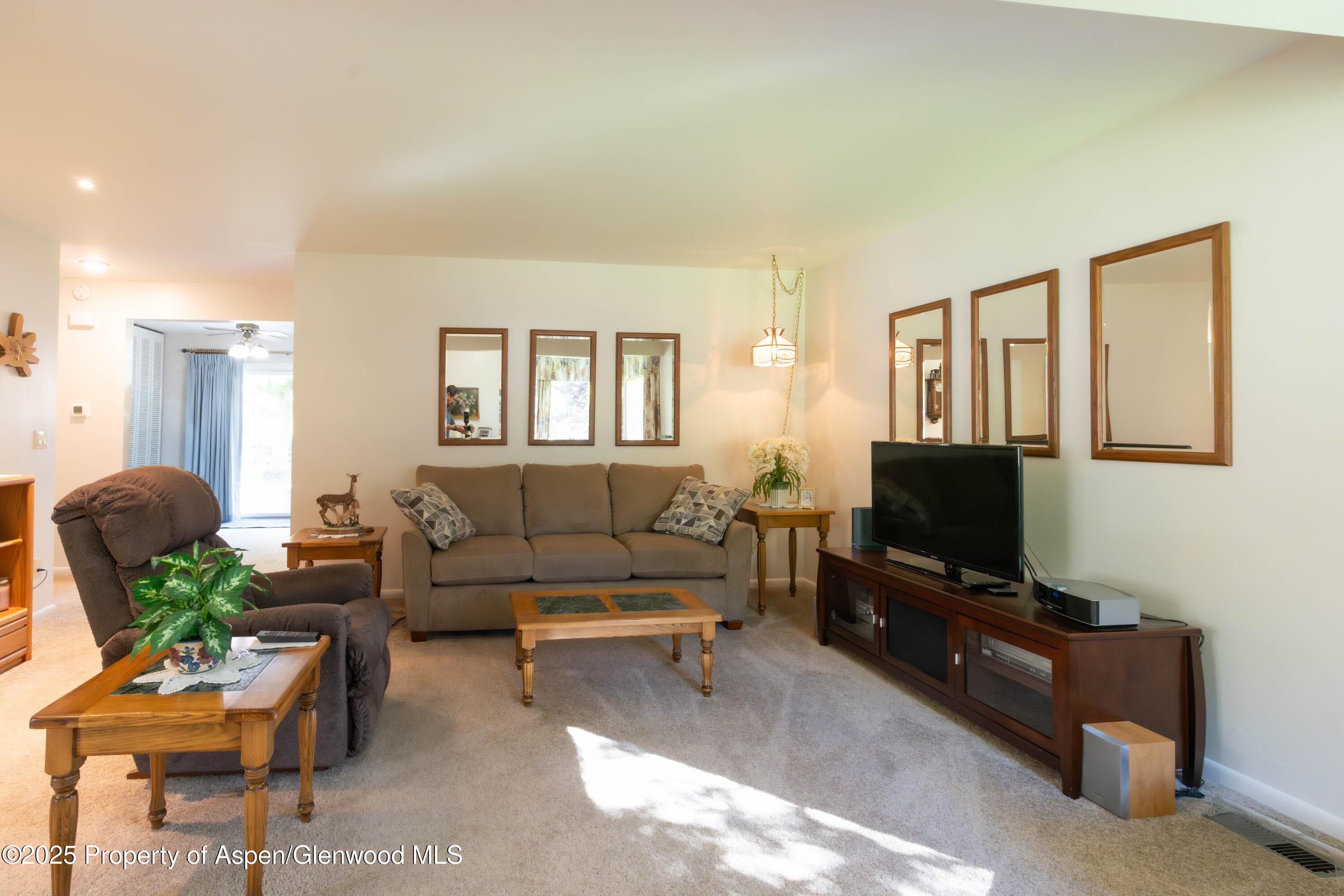 388 Mel Rey Road, Glenwood Springs, CO 81601 - Photo 36