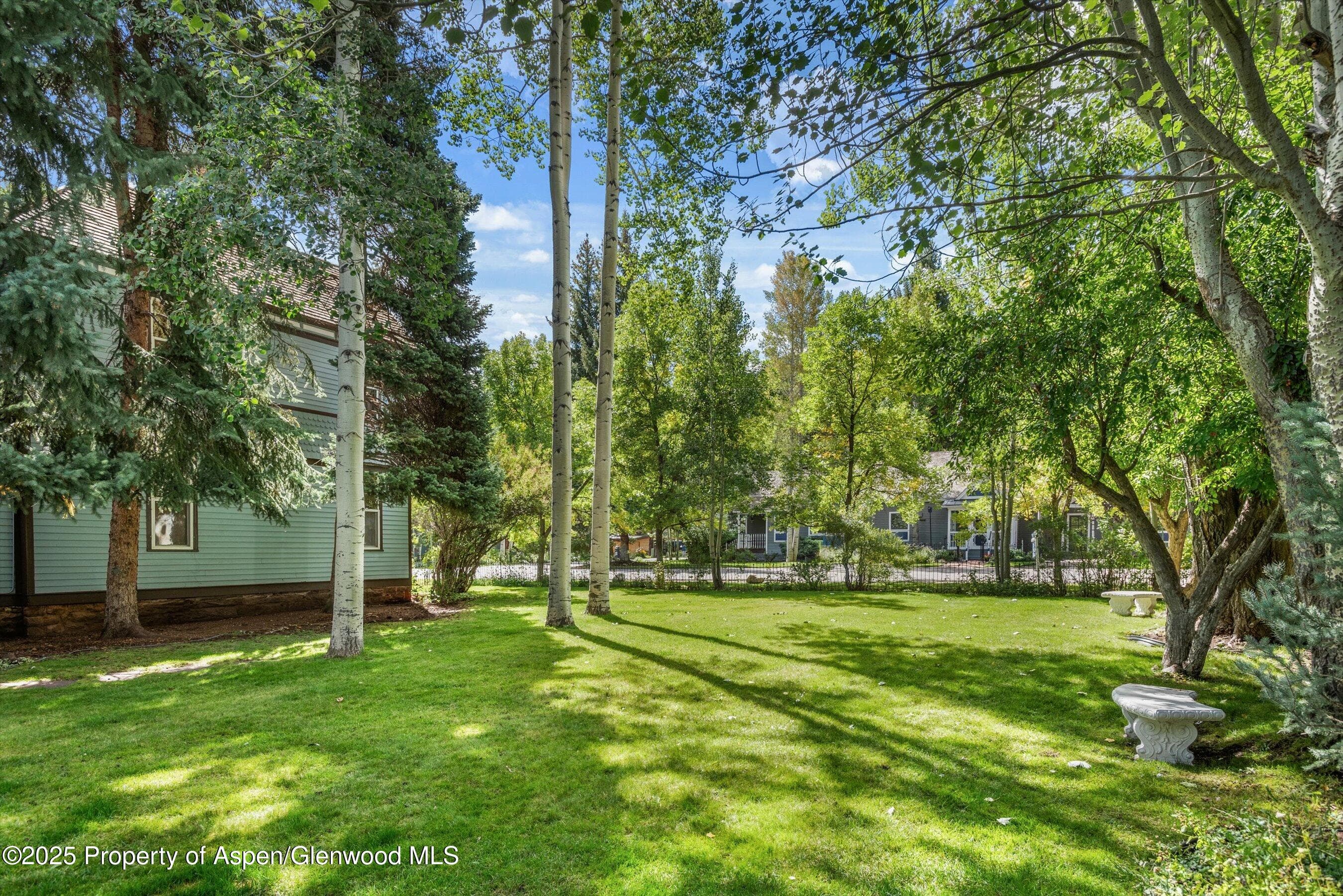 500 W Francis Street, Aspen, CO 81611 - Photo 9