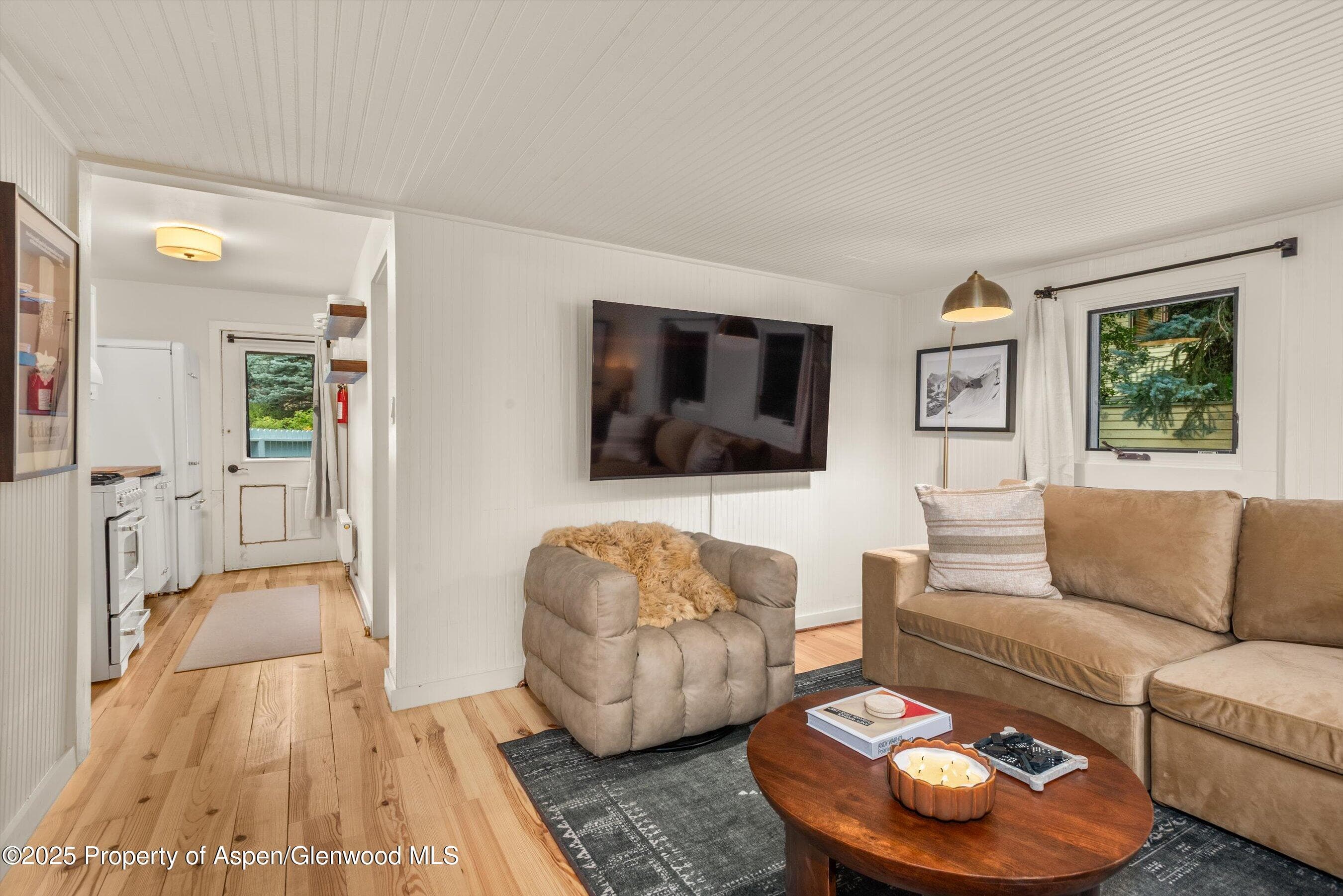 500 W Francis Street, Aspen, CO 81611 - Photo 47