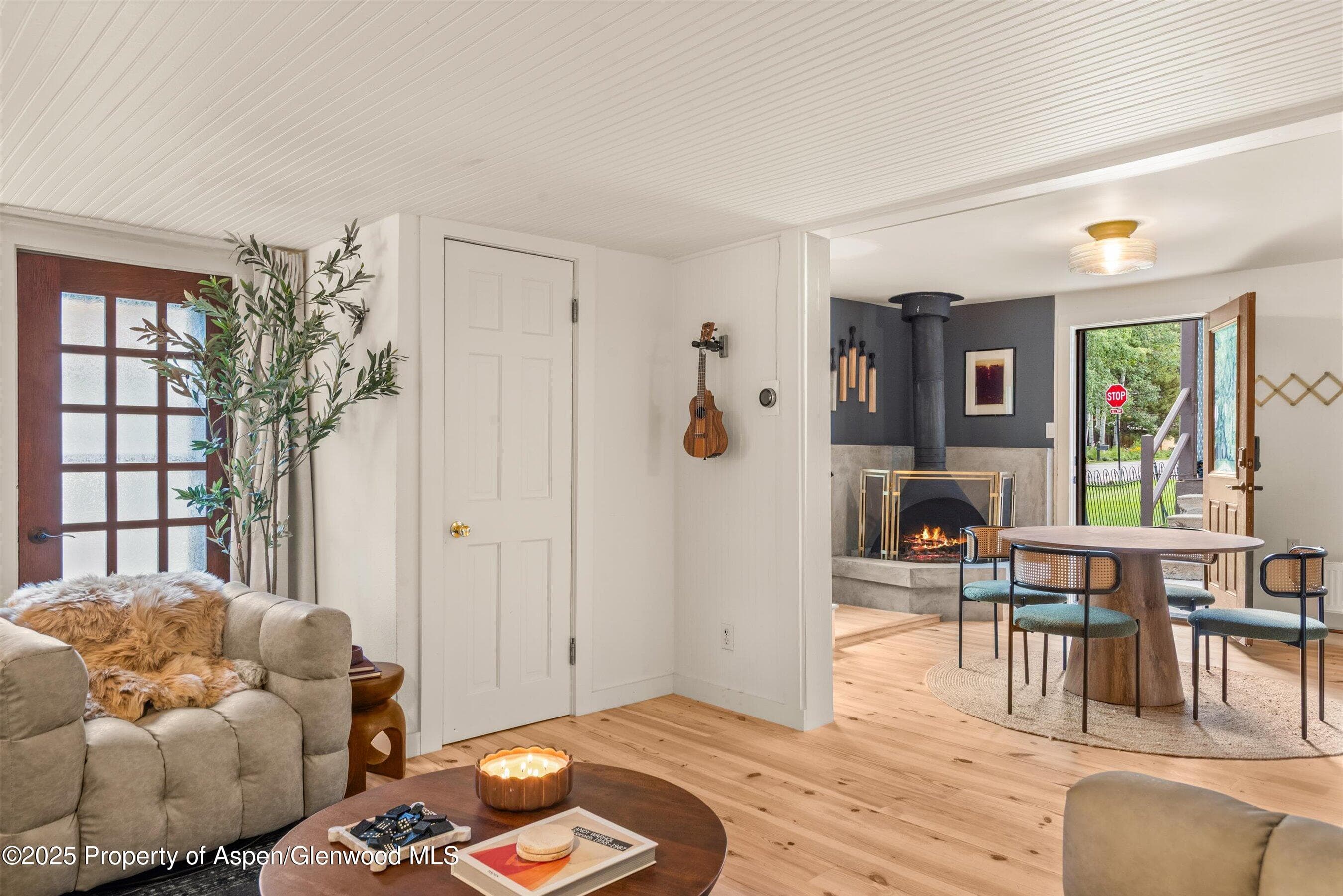 500 W Francis Street, Aspen, CO 81611 - Photo 49