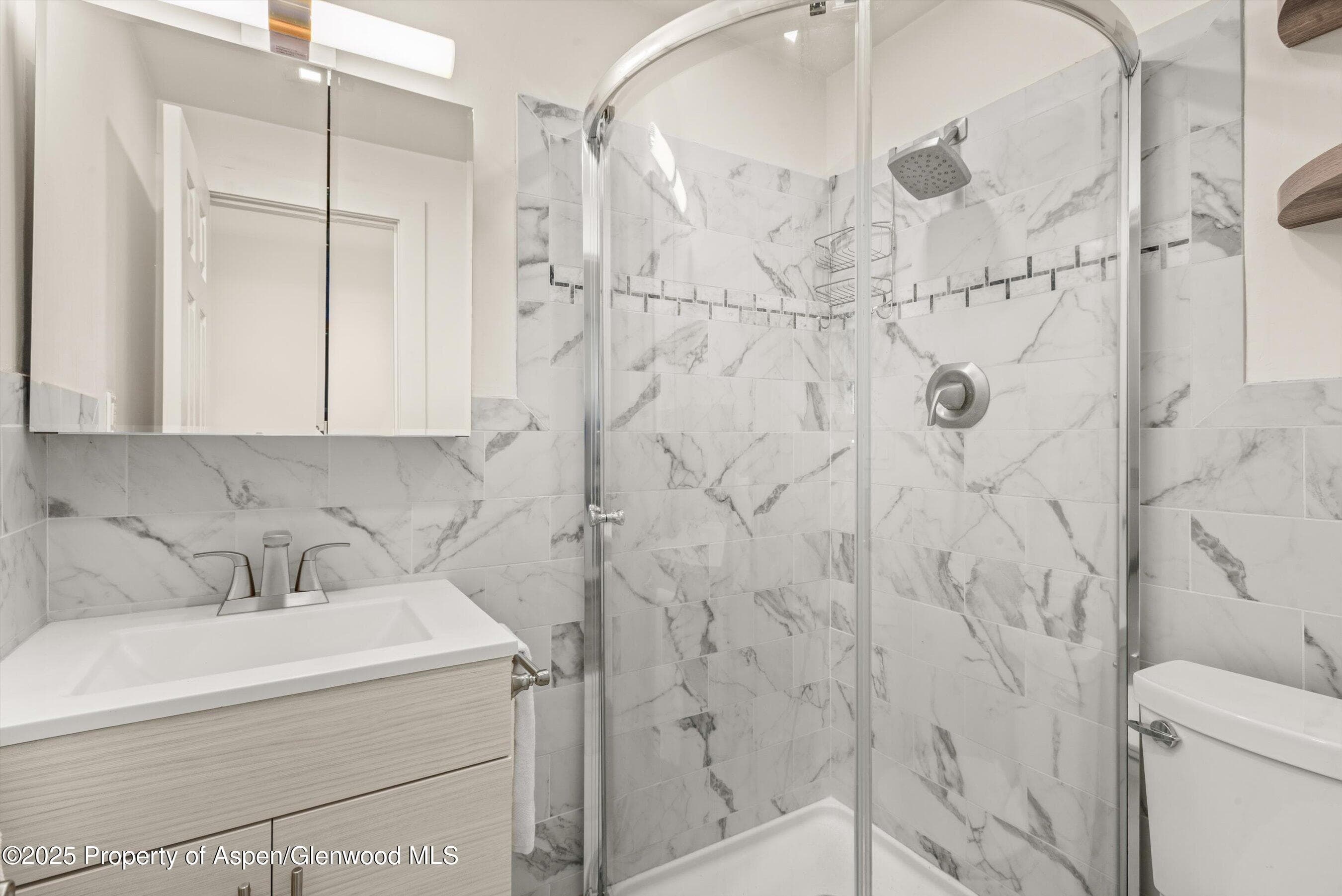 500 W Francis Street, Aspen, CO 81611 - Photo 55