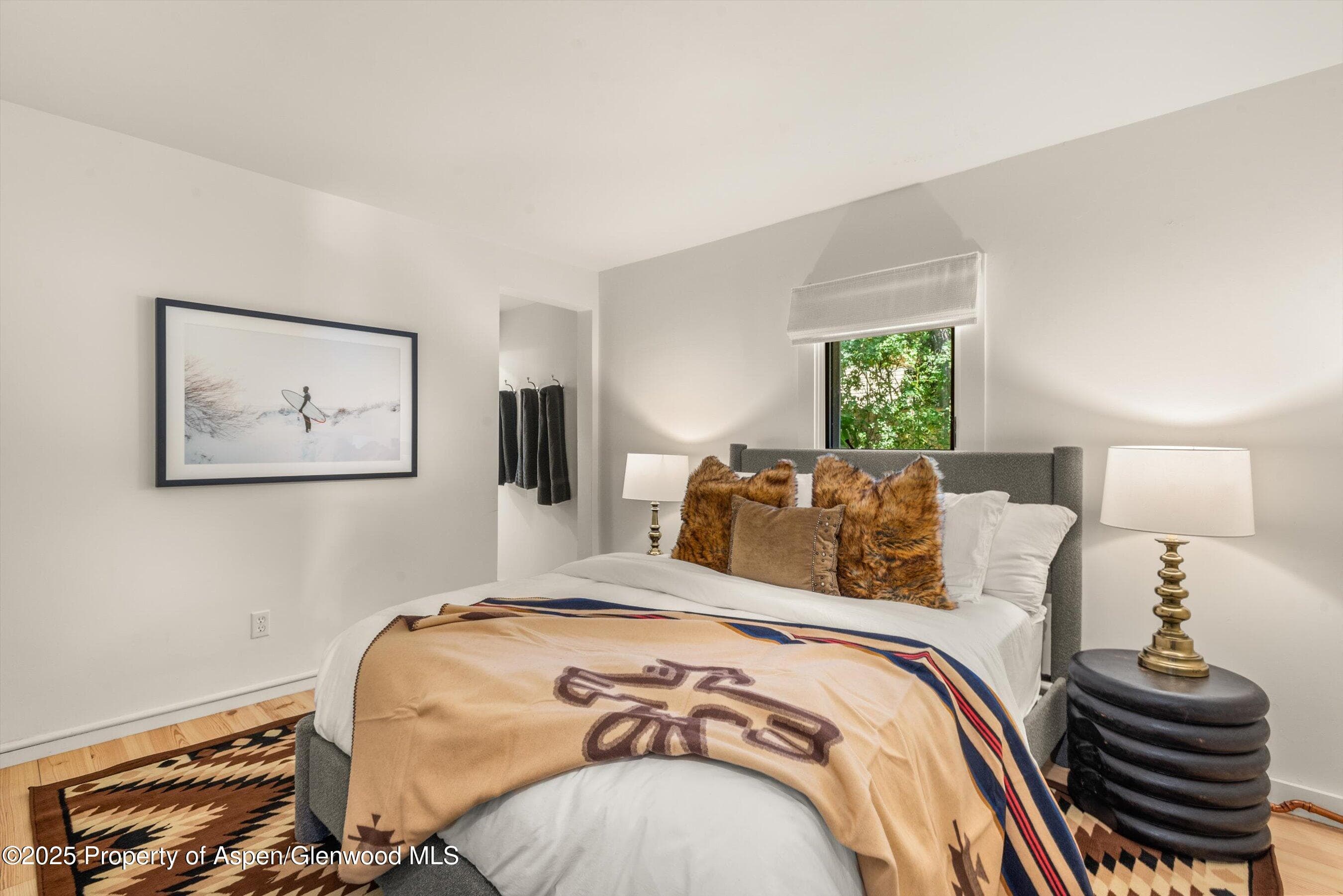 500 W Francis Street, Aspen, CO 81611 - Photo 56
