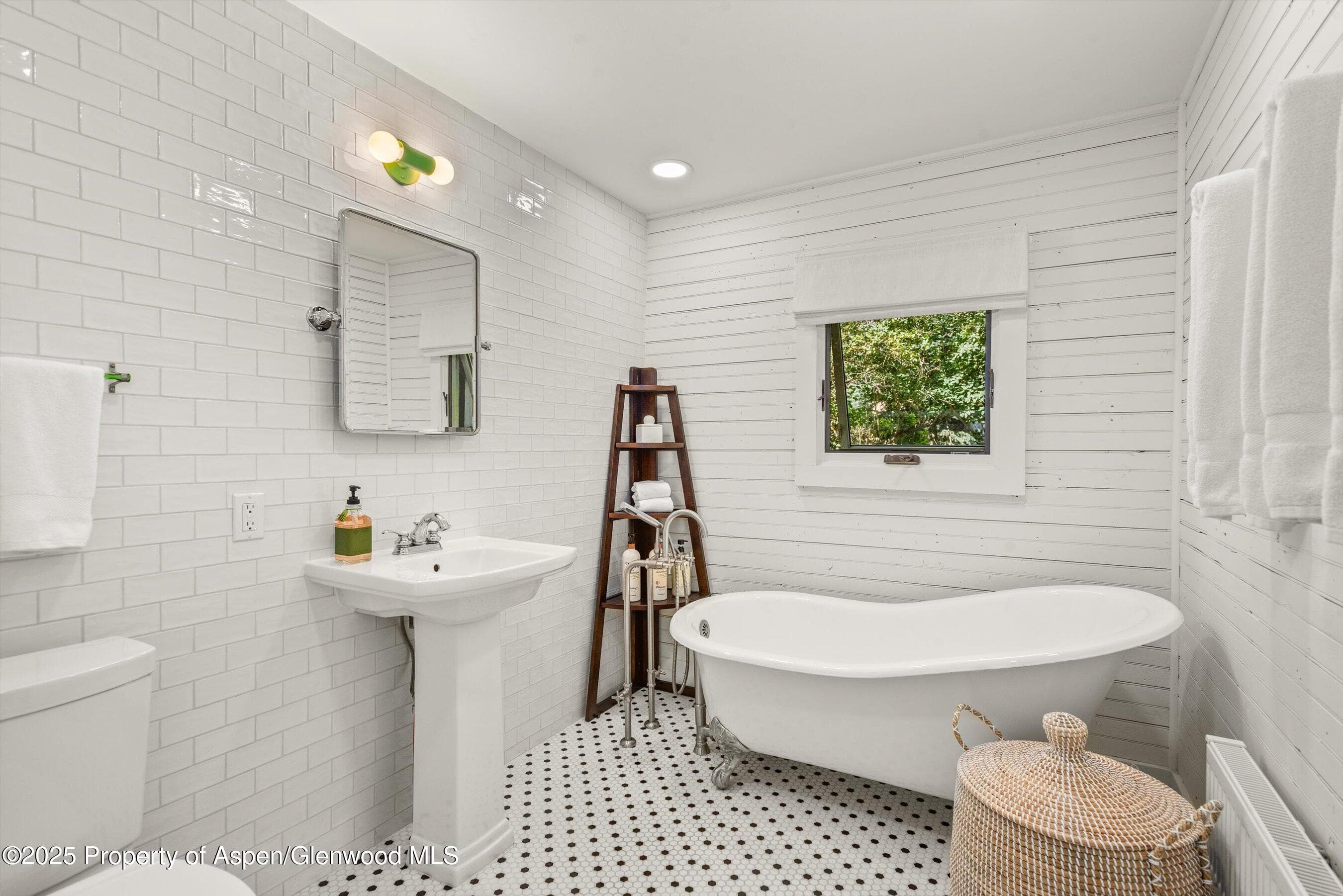500 W Francis Street, Aspen, CO 81611 - Photo 57