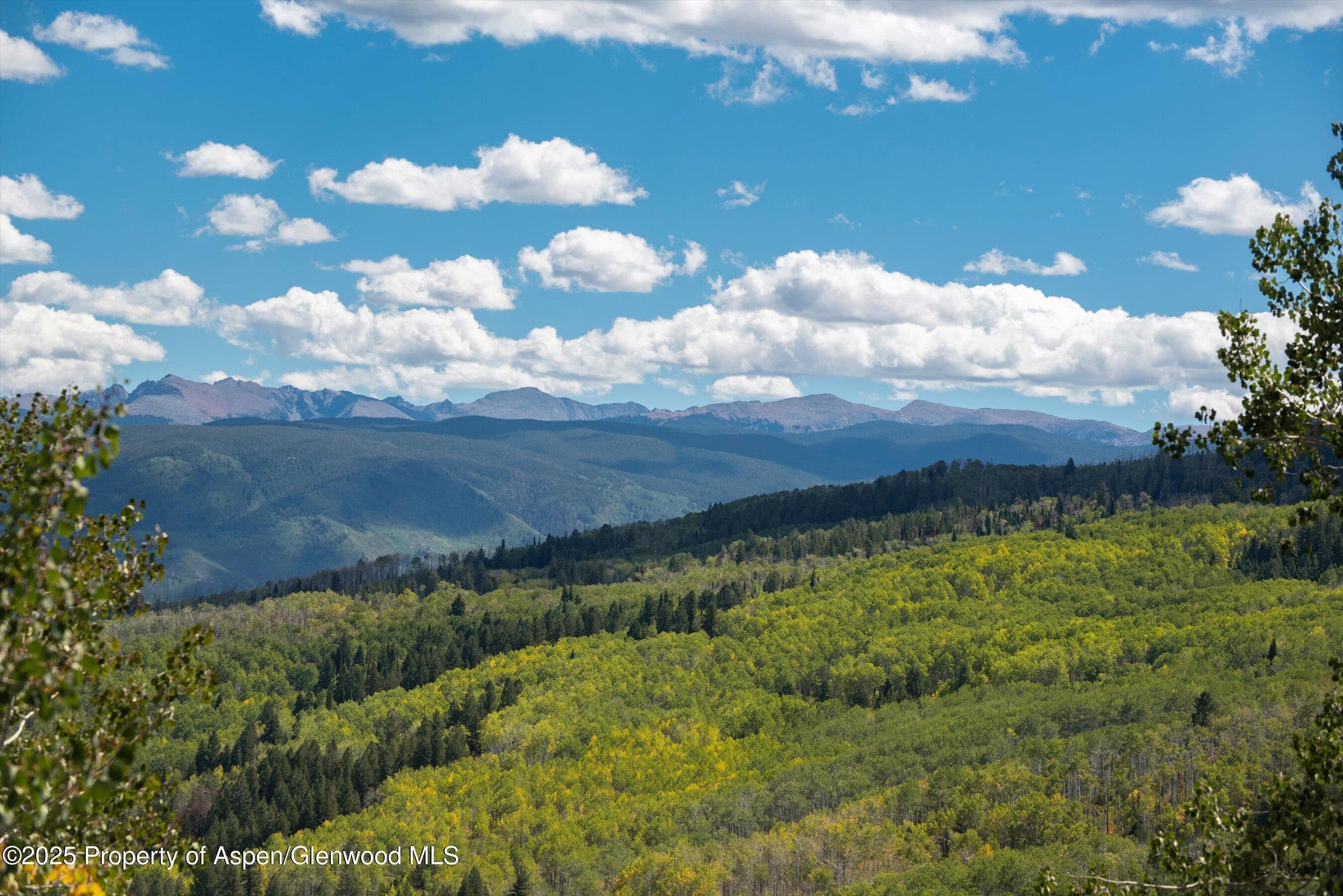 64 Ermine Lane, Snowmass Village, CO 81615 - Photo 28