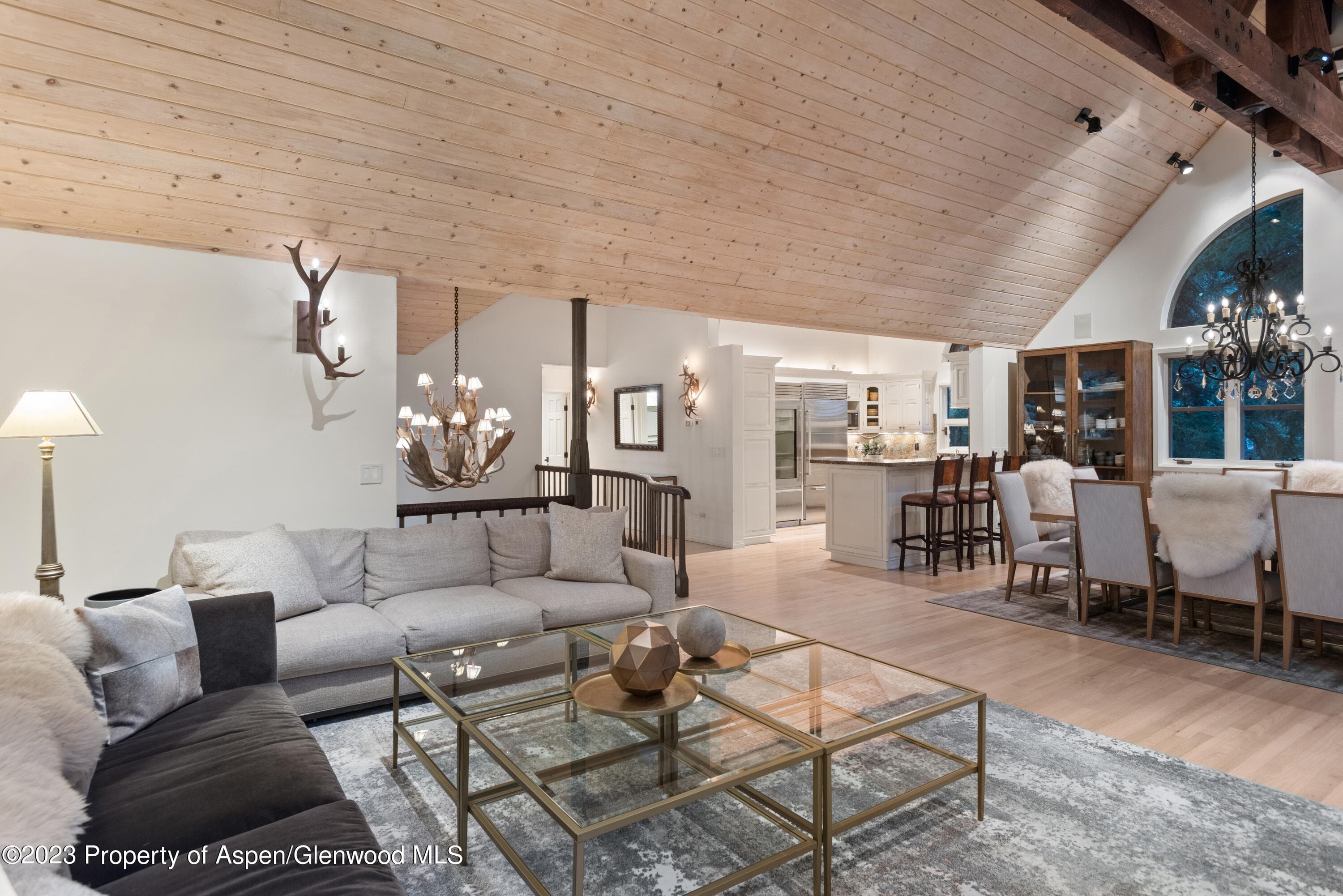 901 Ute Avenue, Aspen, CO 81611 - Photo 7