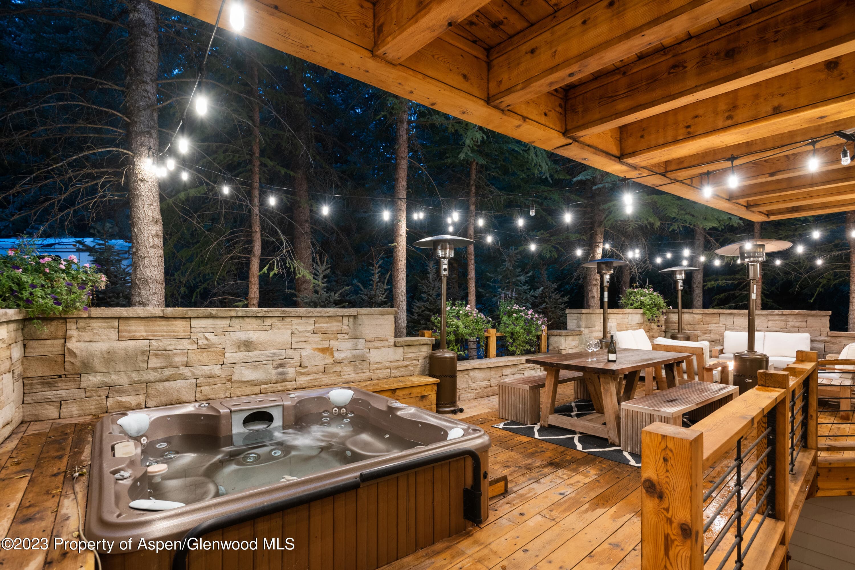 901 Ute Avenue, Aspen, CO 81611 - Photo 22